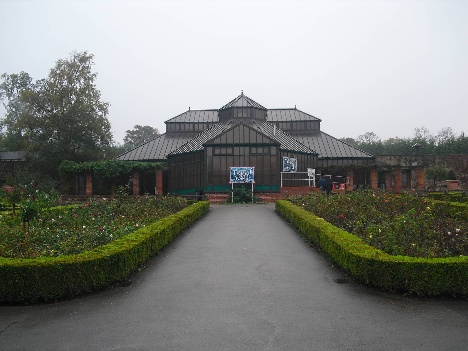 Tropical World Building - 12/10/2011