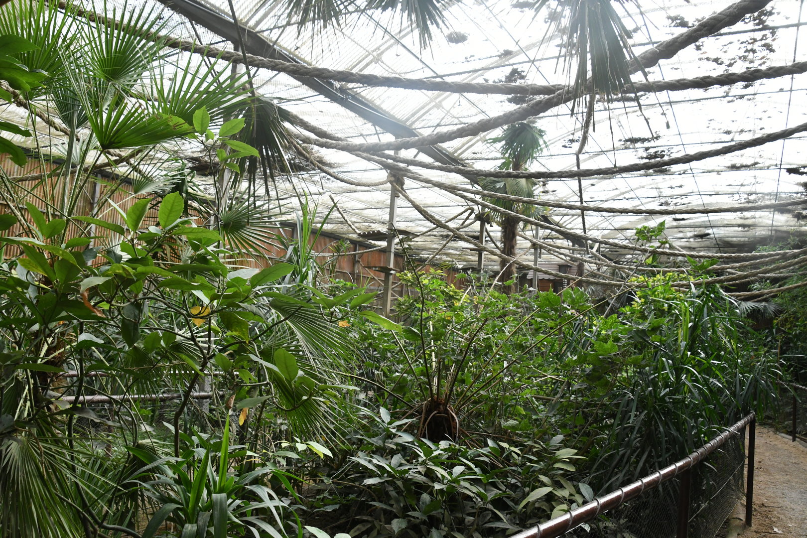 Tropical World House interior