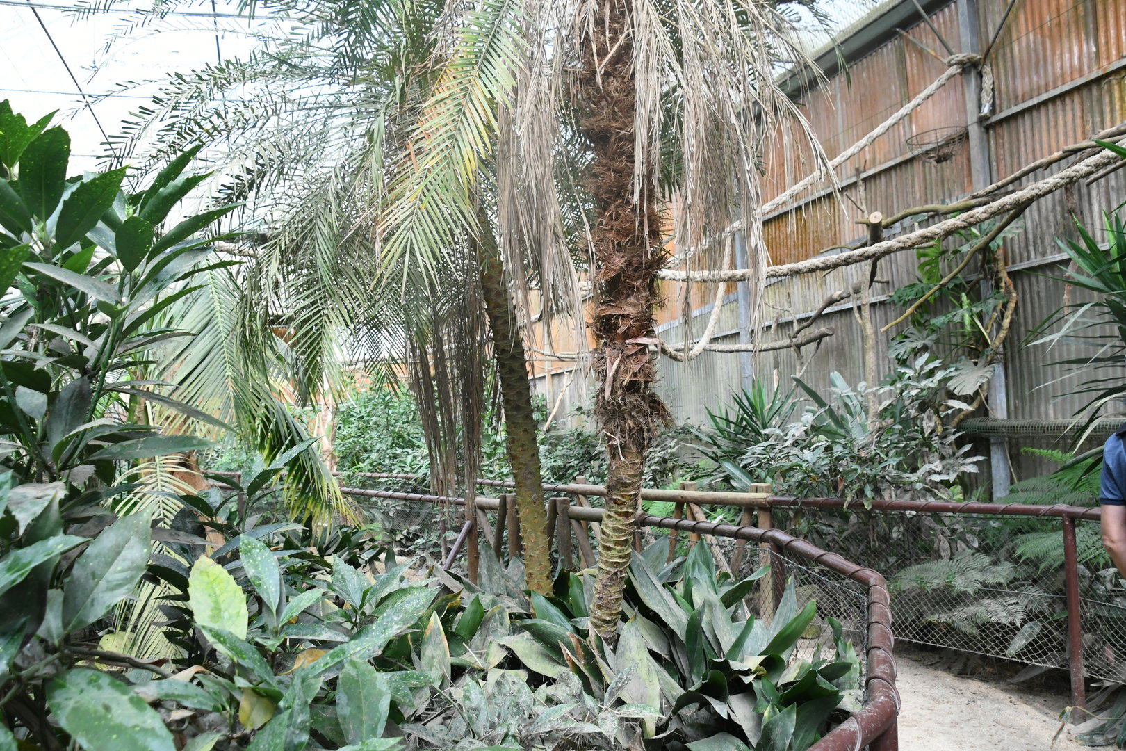 Tropical World House interior