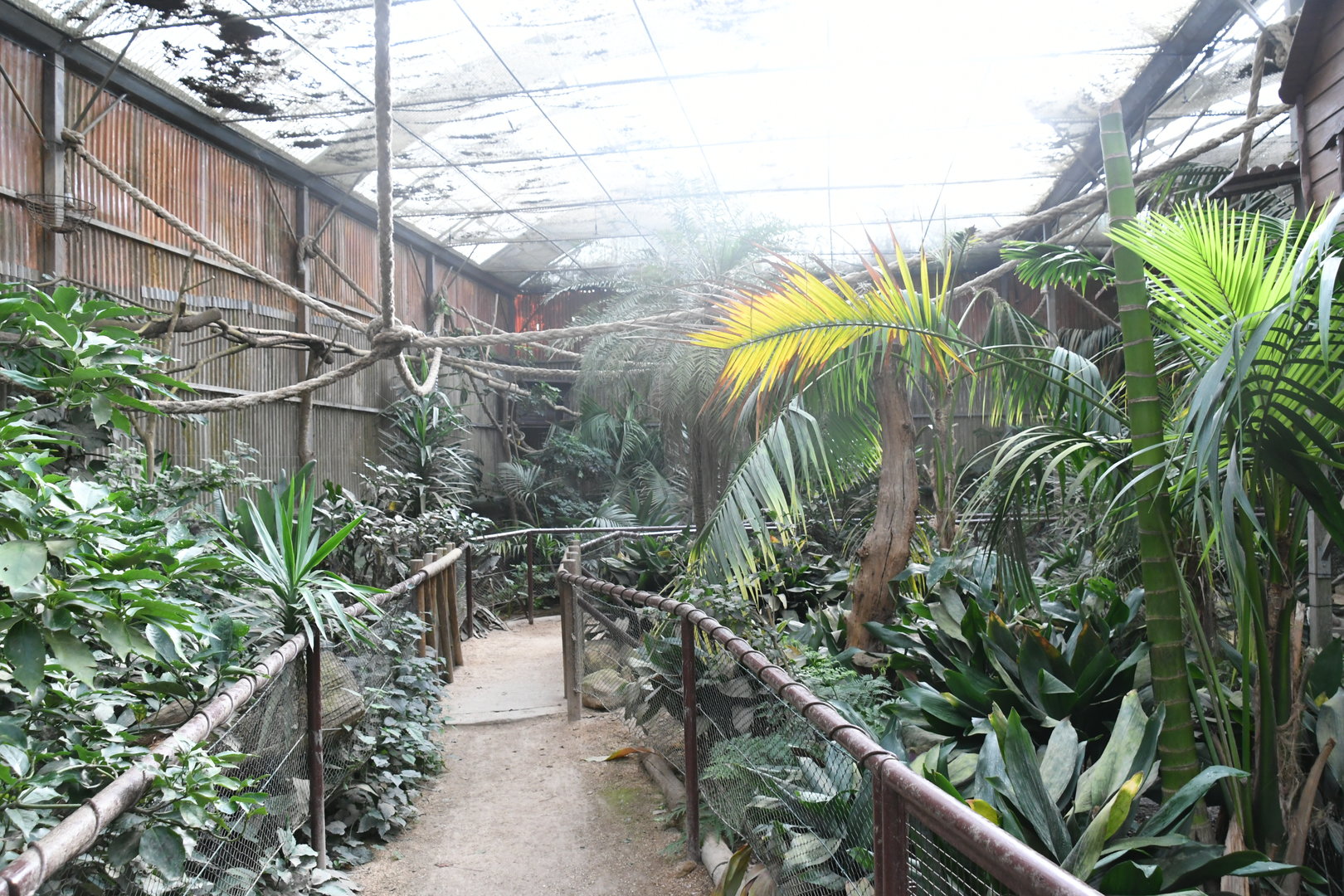 Tropical World House interior