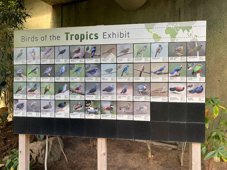 Tropics Bird Signage