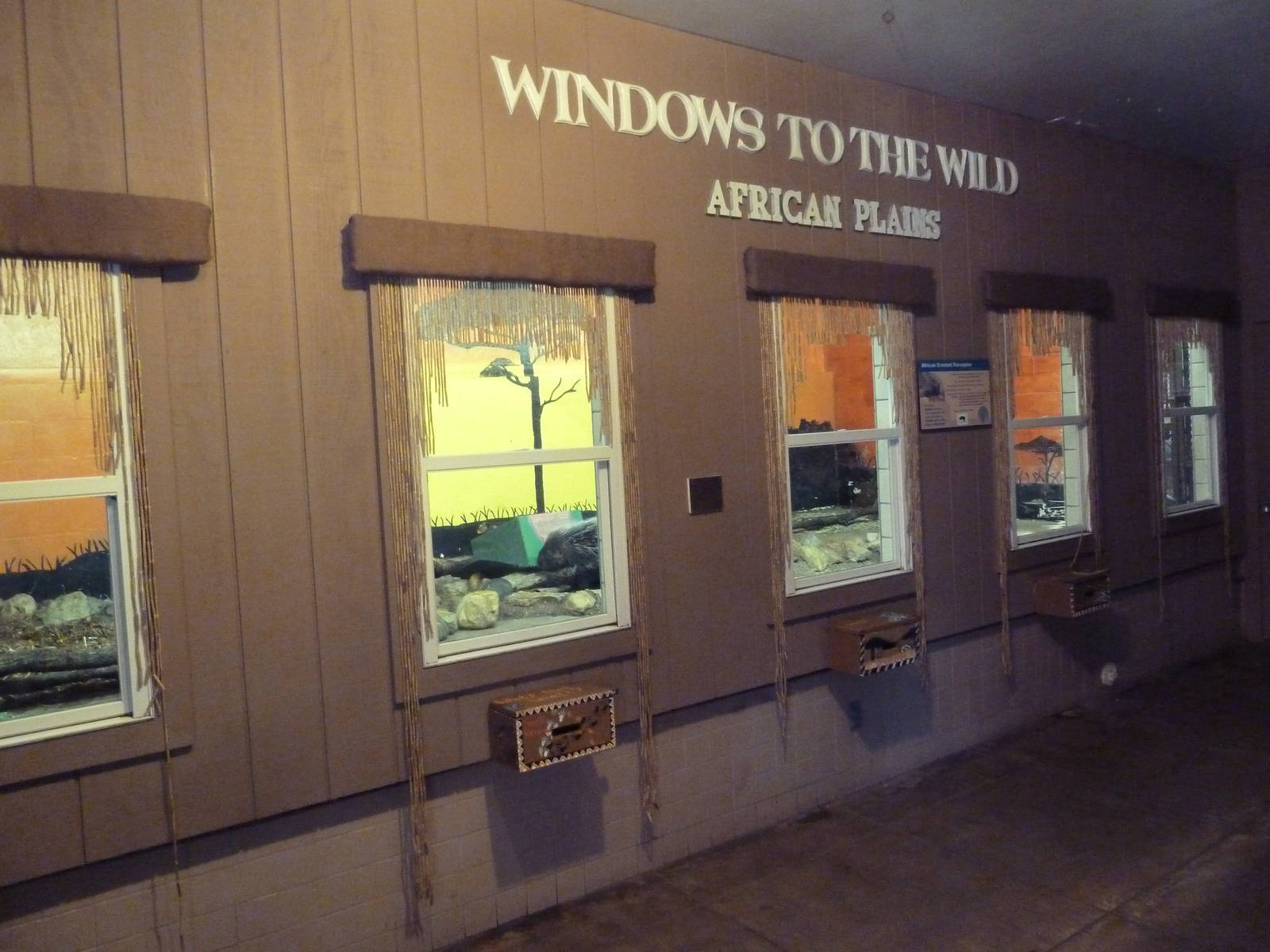 Tropics Building - African Crested Porcupine Exhibit