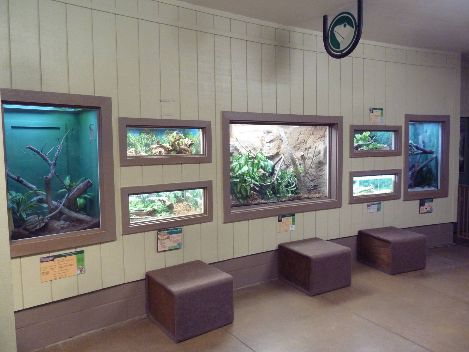 Tropics Building - Assorted Terrariums