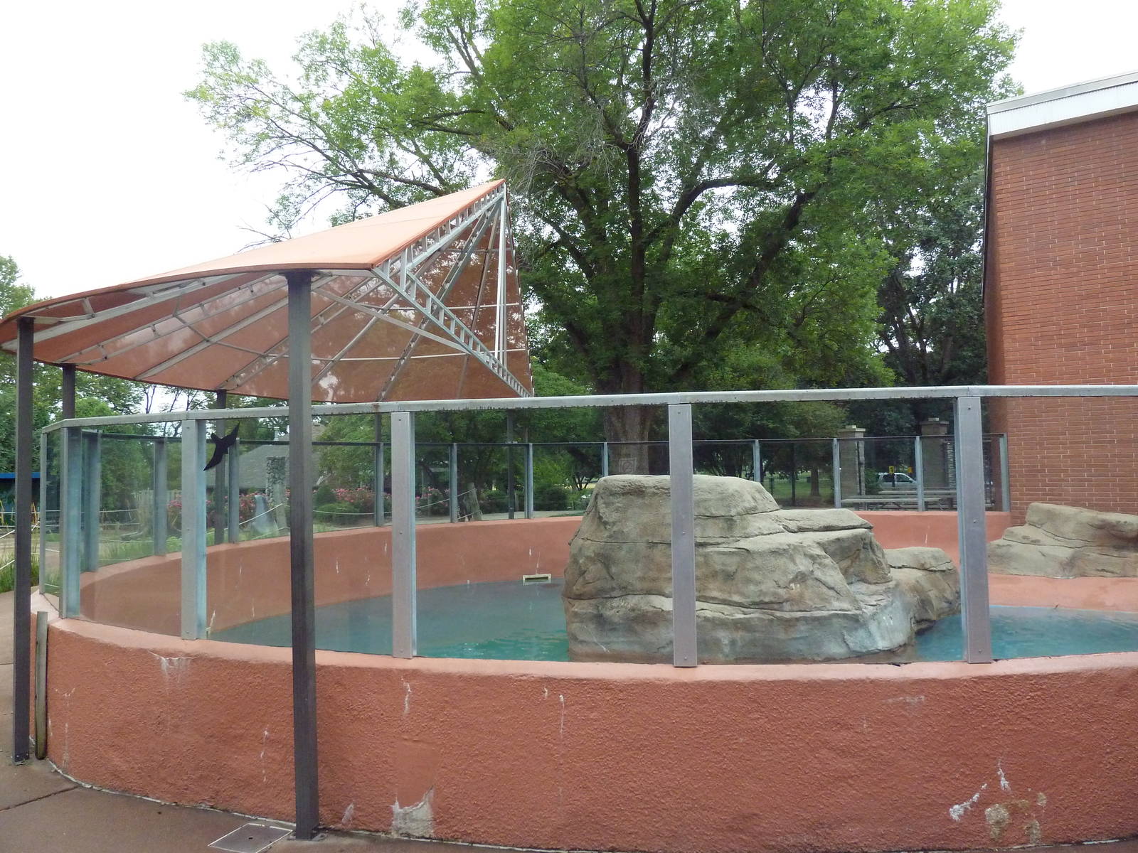 Tropics Building - California Sea Lion Exhibit