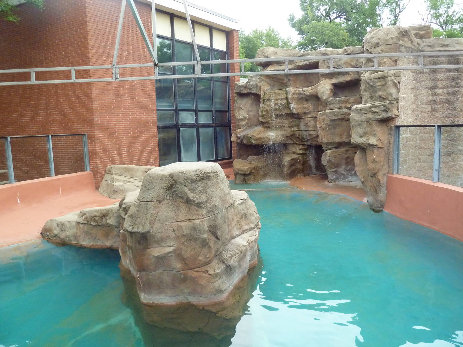 Tropics Building - California Sea Lion Exhibit