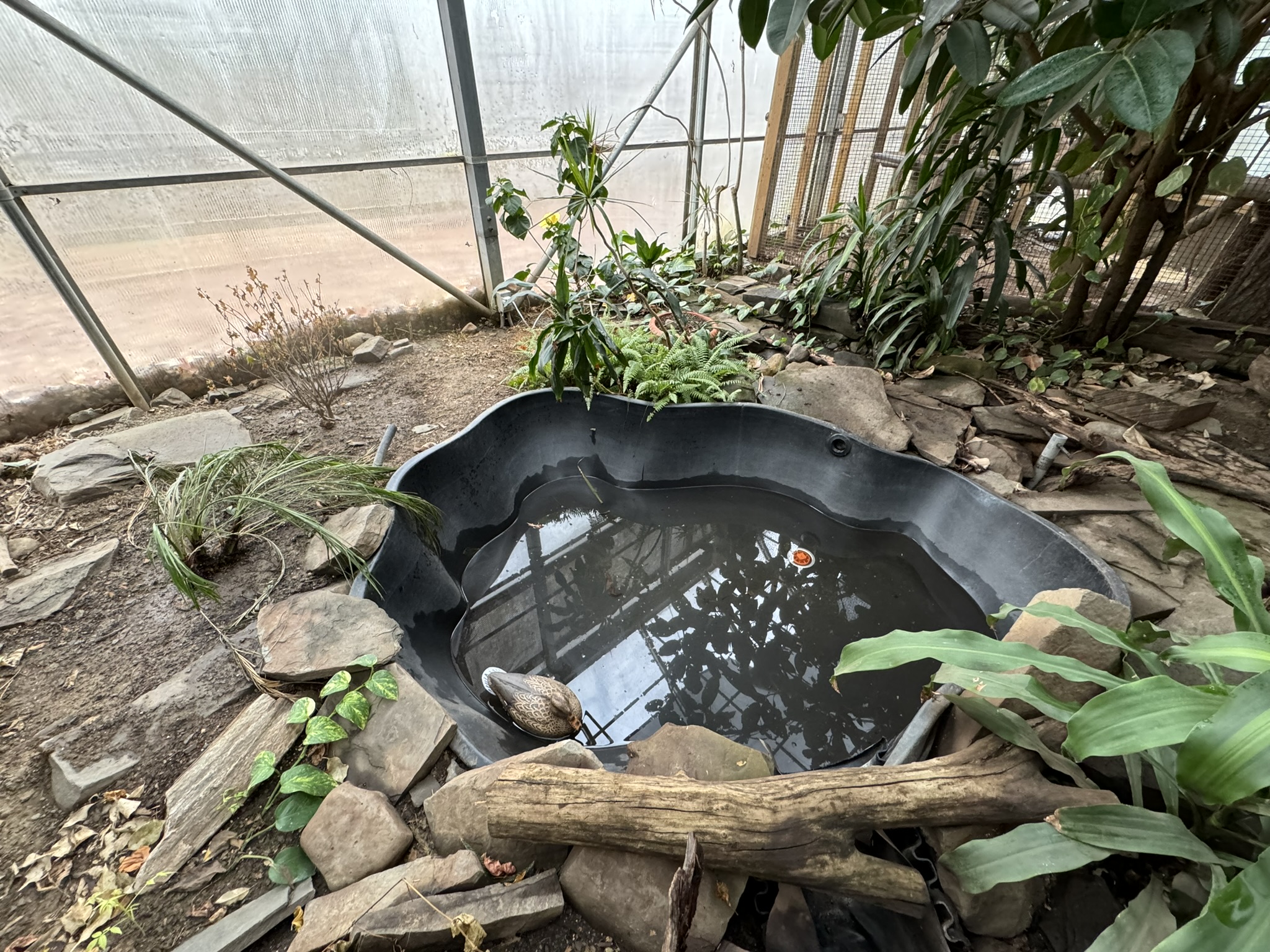 Tropics building - Former Matamata exhibit (now empty)