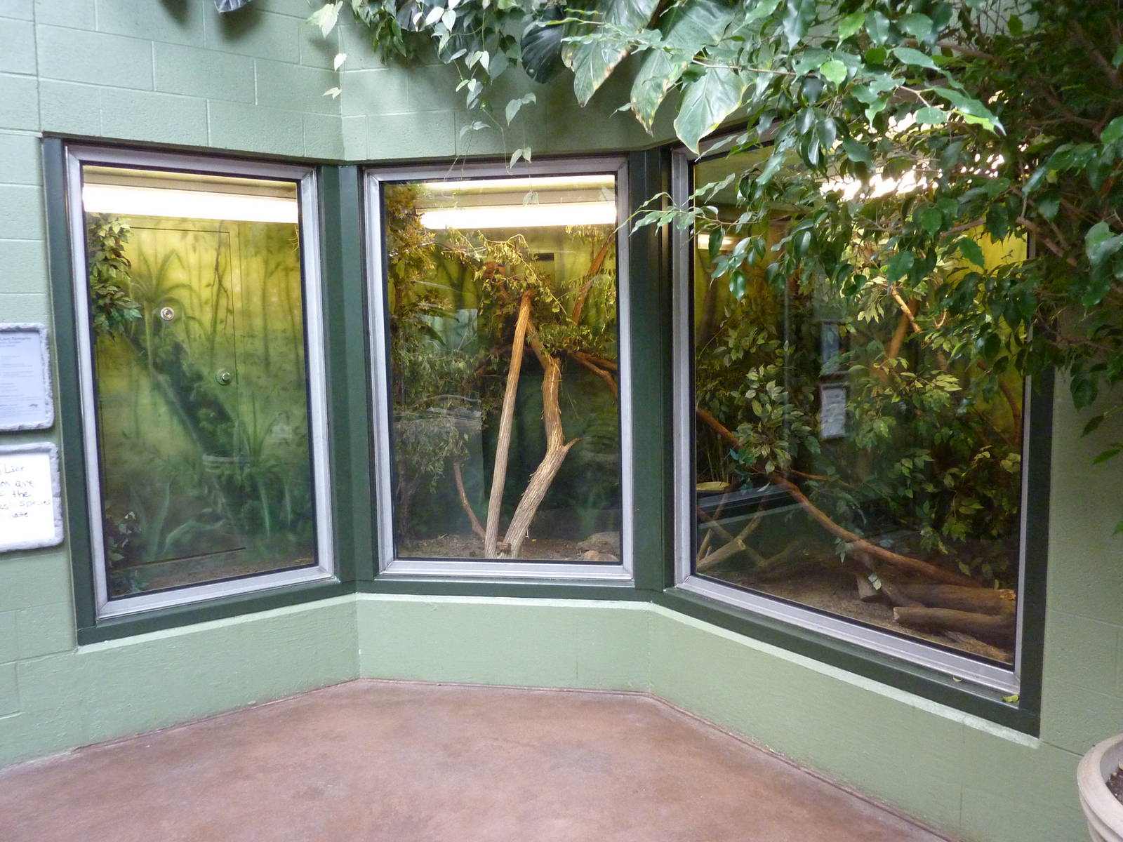Tropics  Building - Golden Lion Tamarin Exhibit