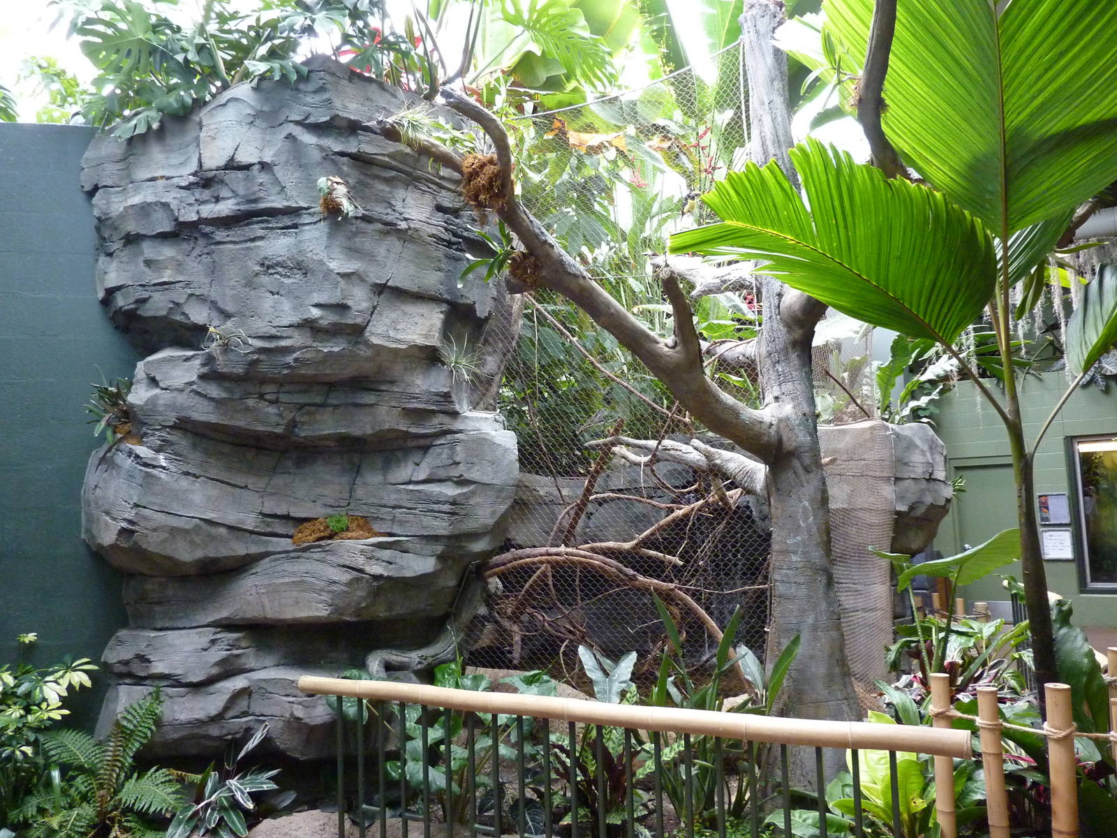 Tropics  Building - Green Aracari/Freshwater Stingray Exhibit