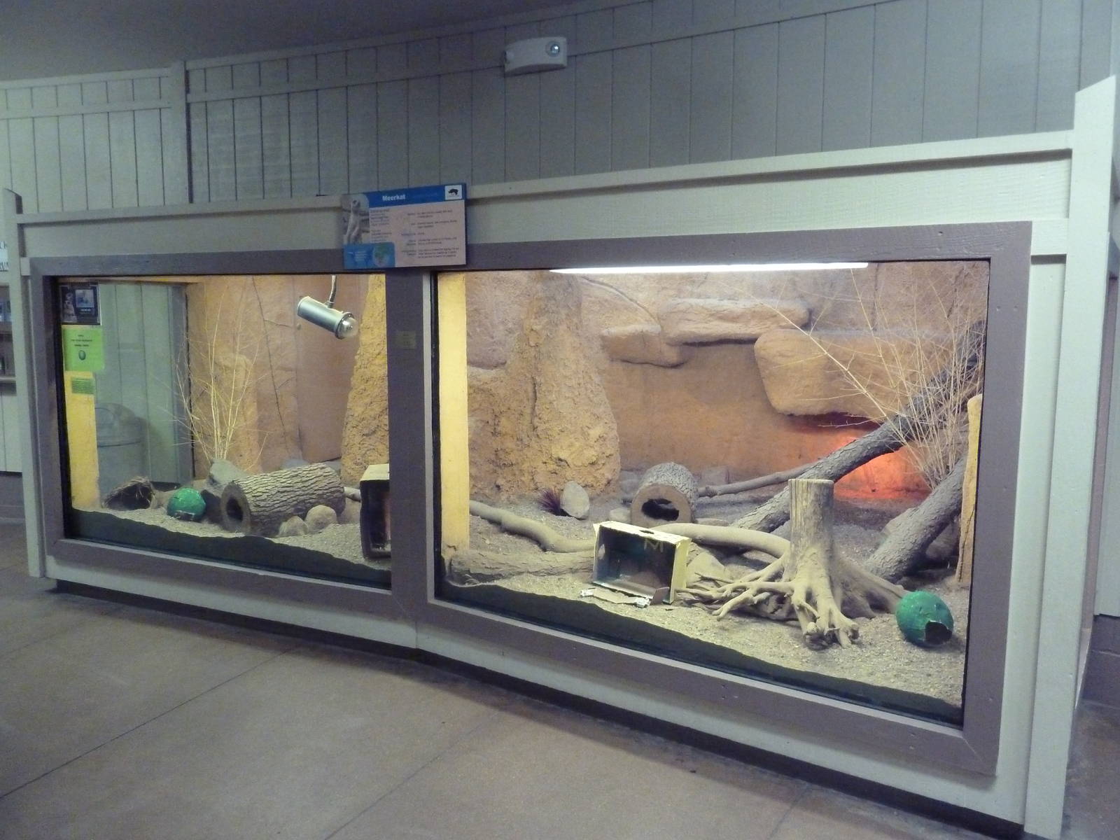 Tropics Building - Meerkat Exhibit