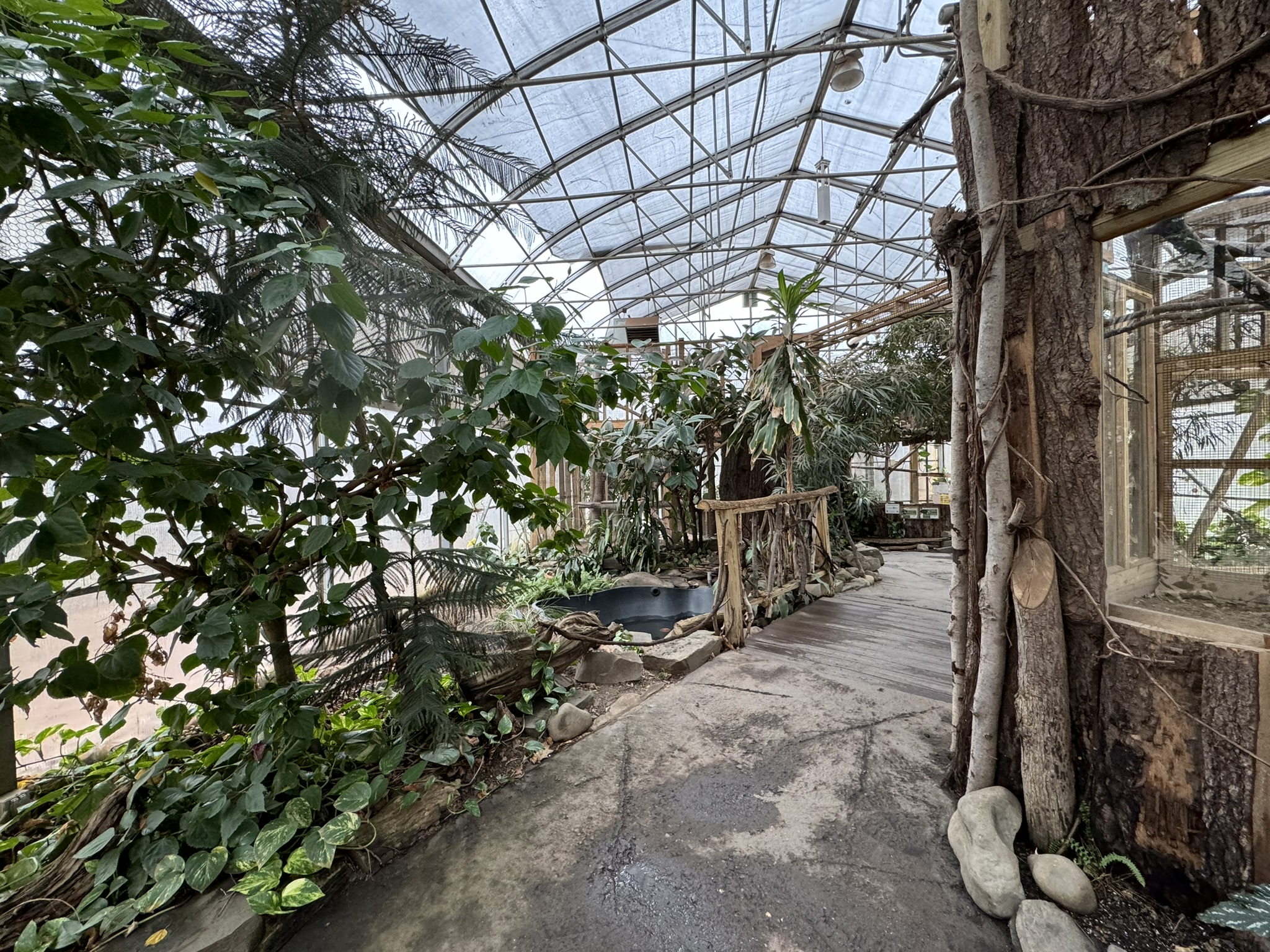 Tropics building - Overview