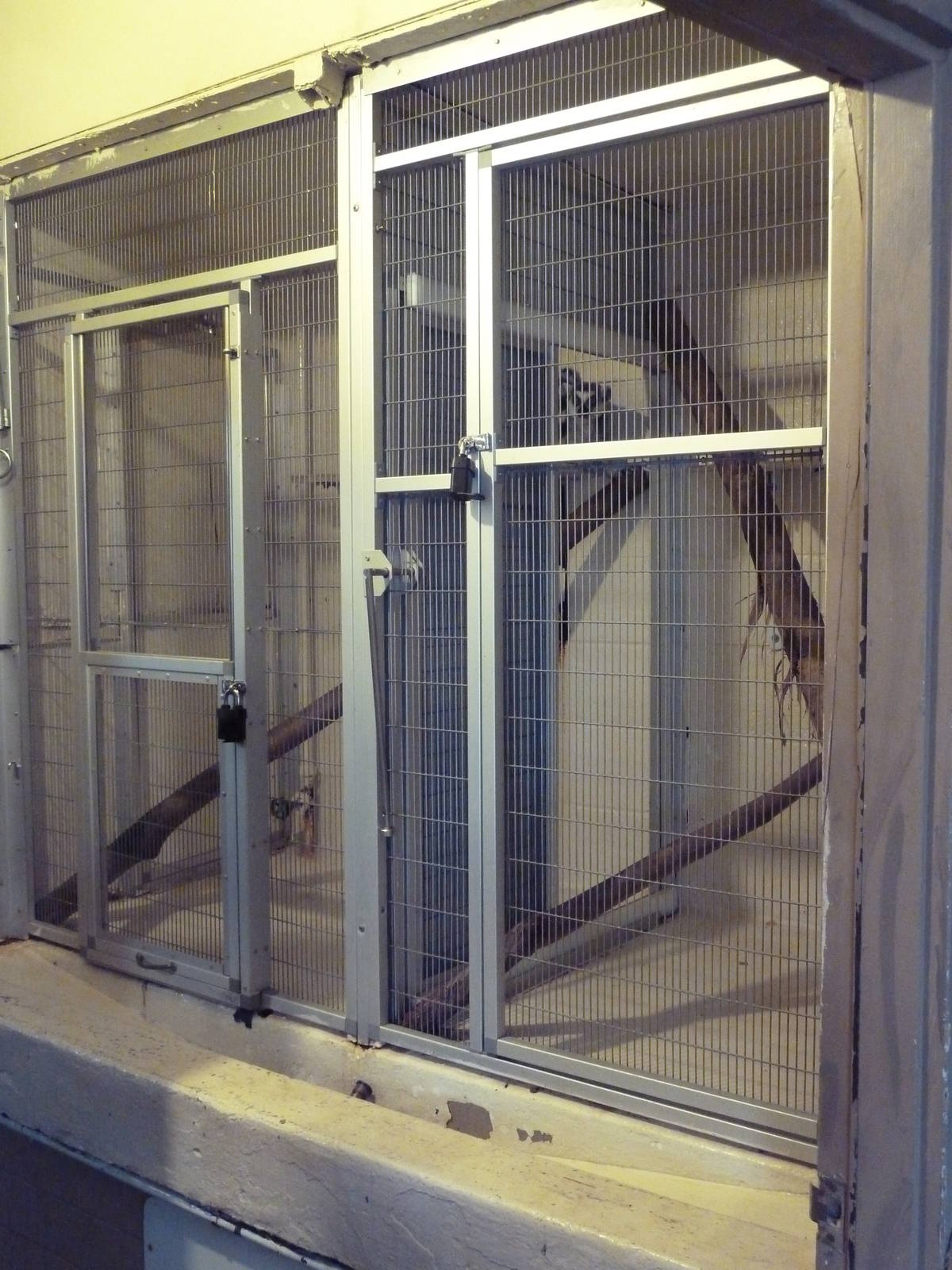 Tropics Building - Ring-Tailed Lemur Exhibit (Holding Quarters)