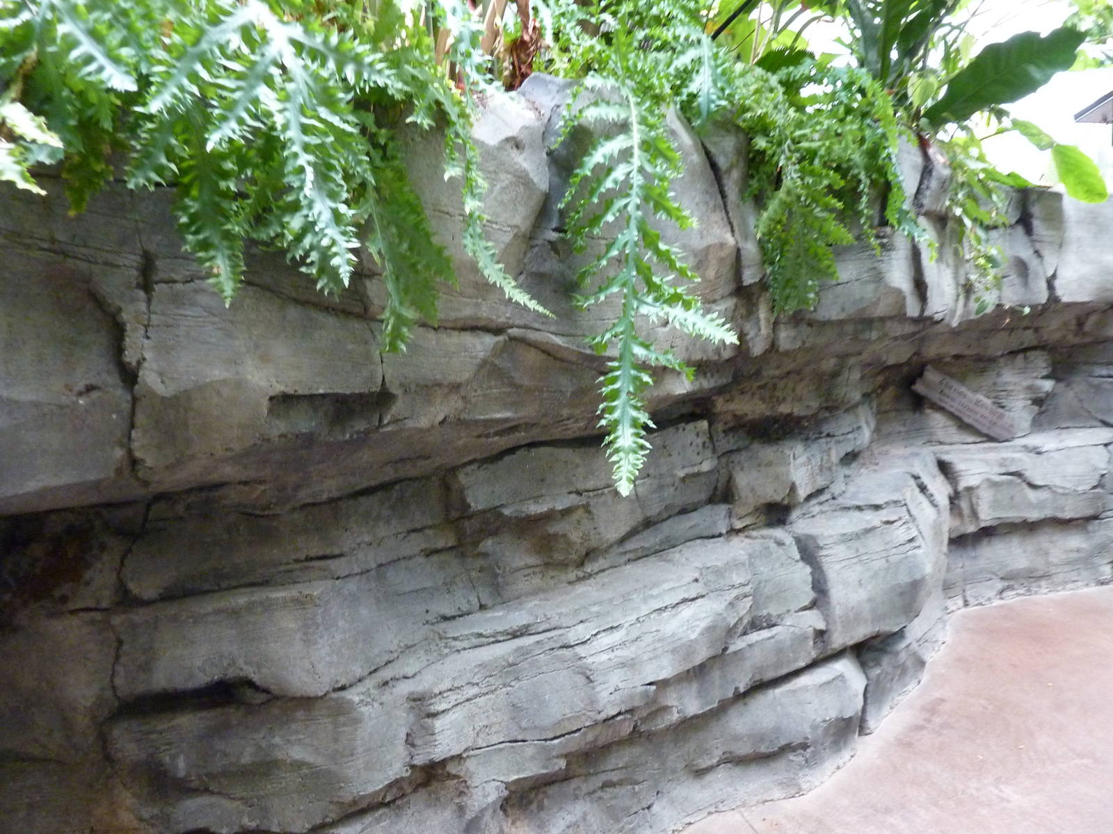 Tropics Building - Rockwork