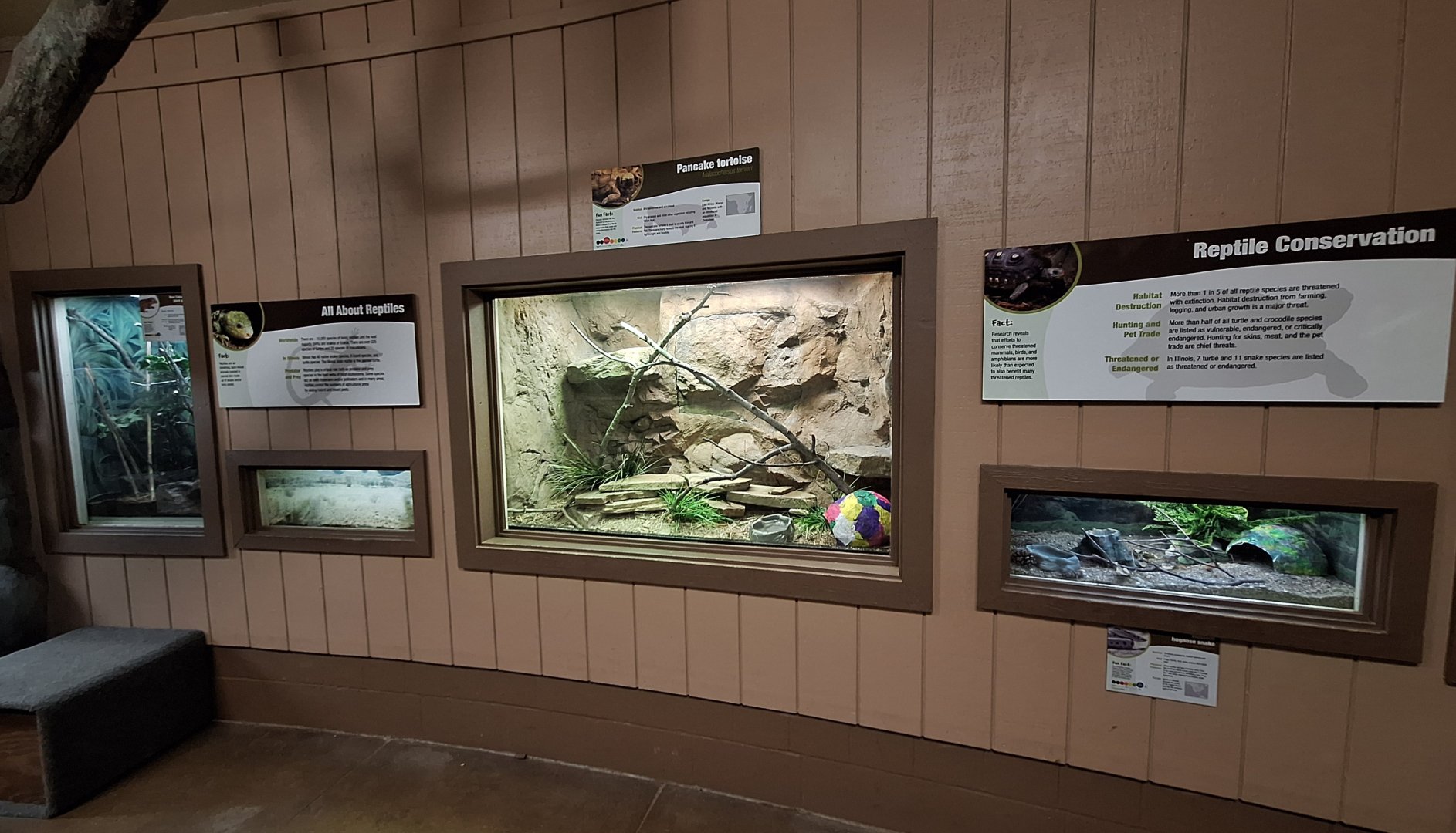 Tropics Building Terrariums