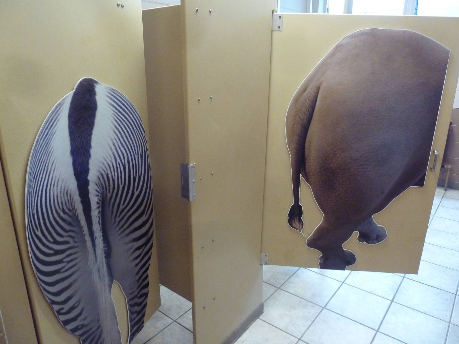 Tropics Building - Washroom Stalls