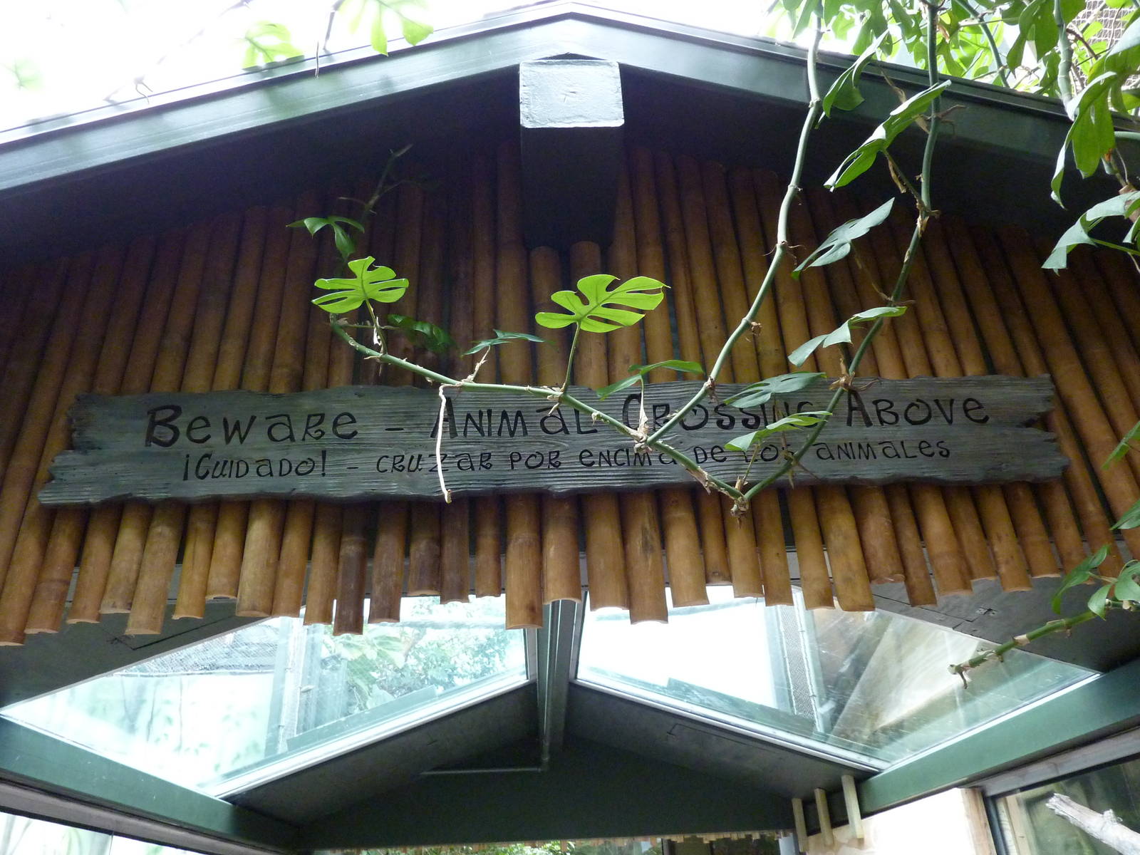 Tropics Building - White-Cheeked Gibbon/Small-Clawed Otter Exhibit