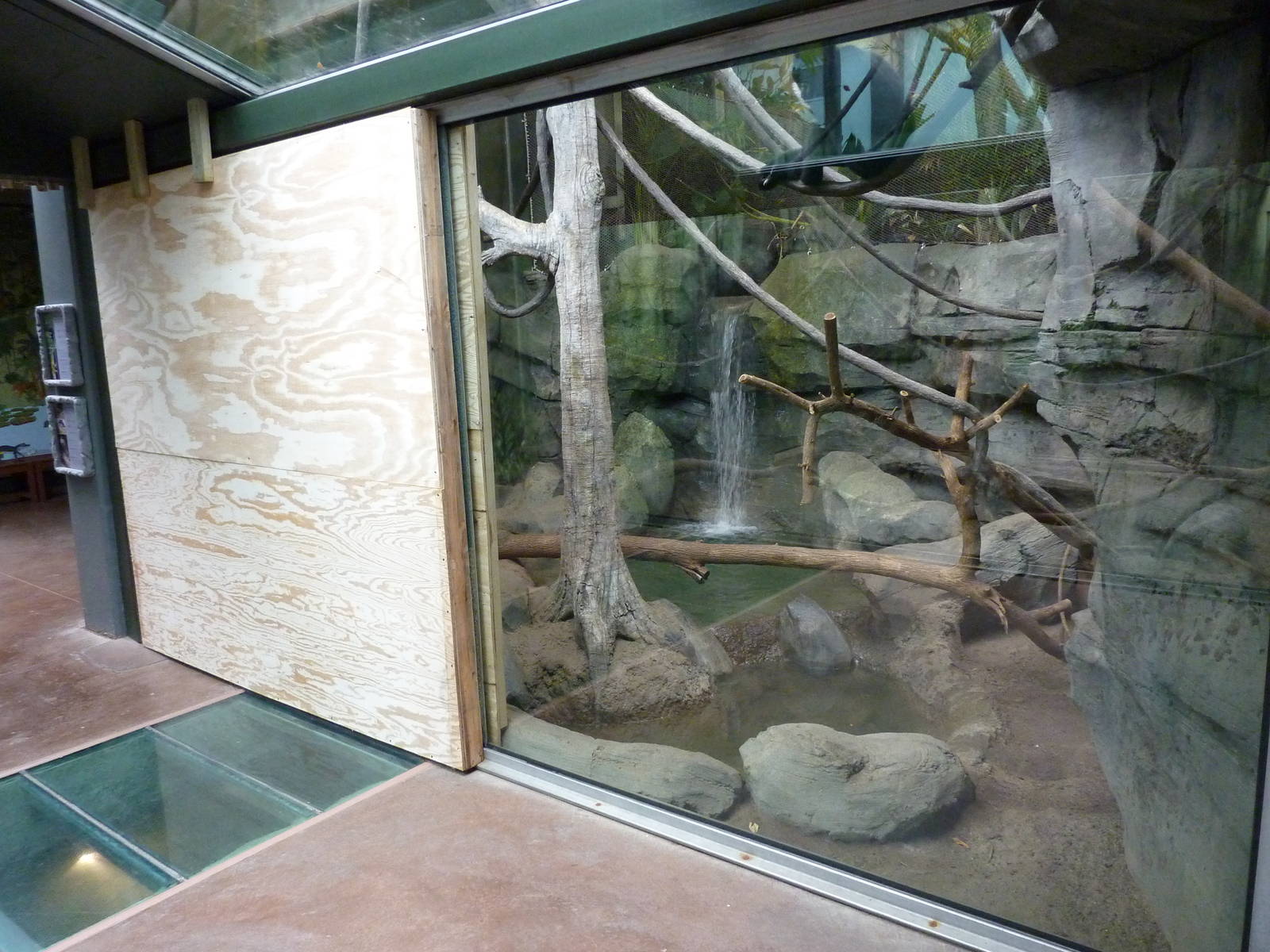 Tropics Building - White-Cheeked Gibbon/Small-Clawed Otter Exhibit
