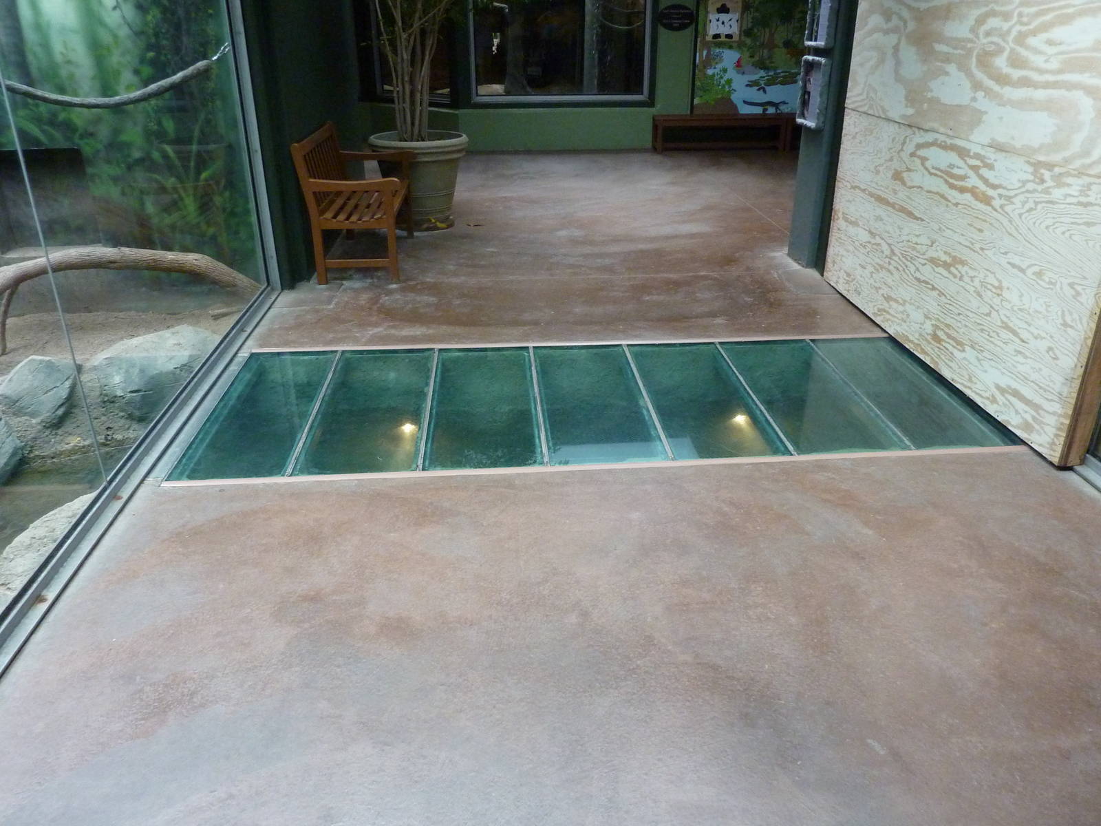 Tropics Building - White-Cheeked Gibbon/Small-Clawed Otter Exhibit