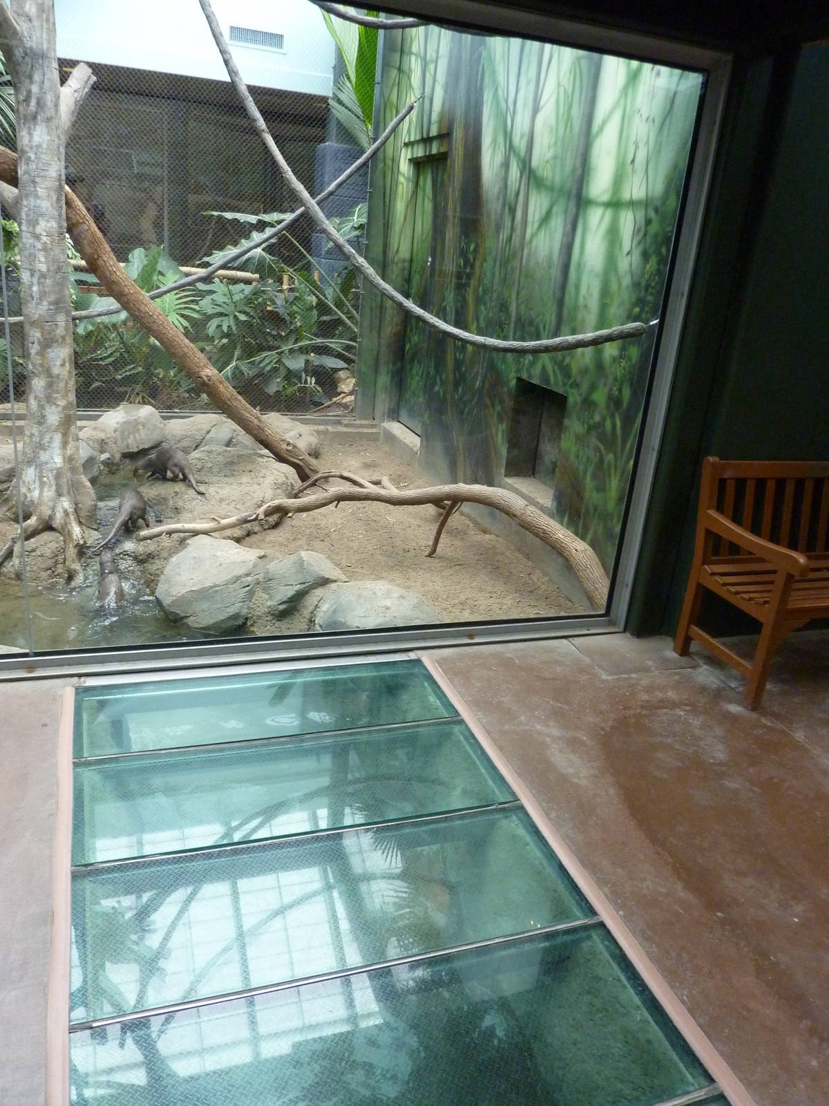 Tropics Building - White-Cheeked Gibbon/Small-Clawed Otter Exhibit