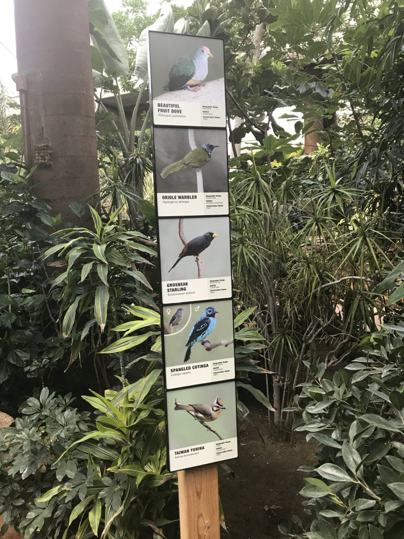 Tropics Exhibit Signage