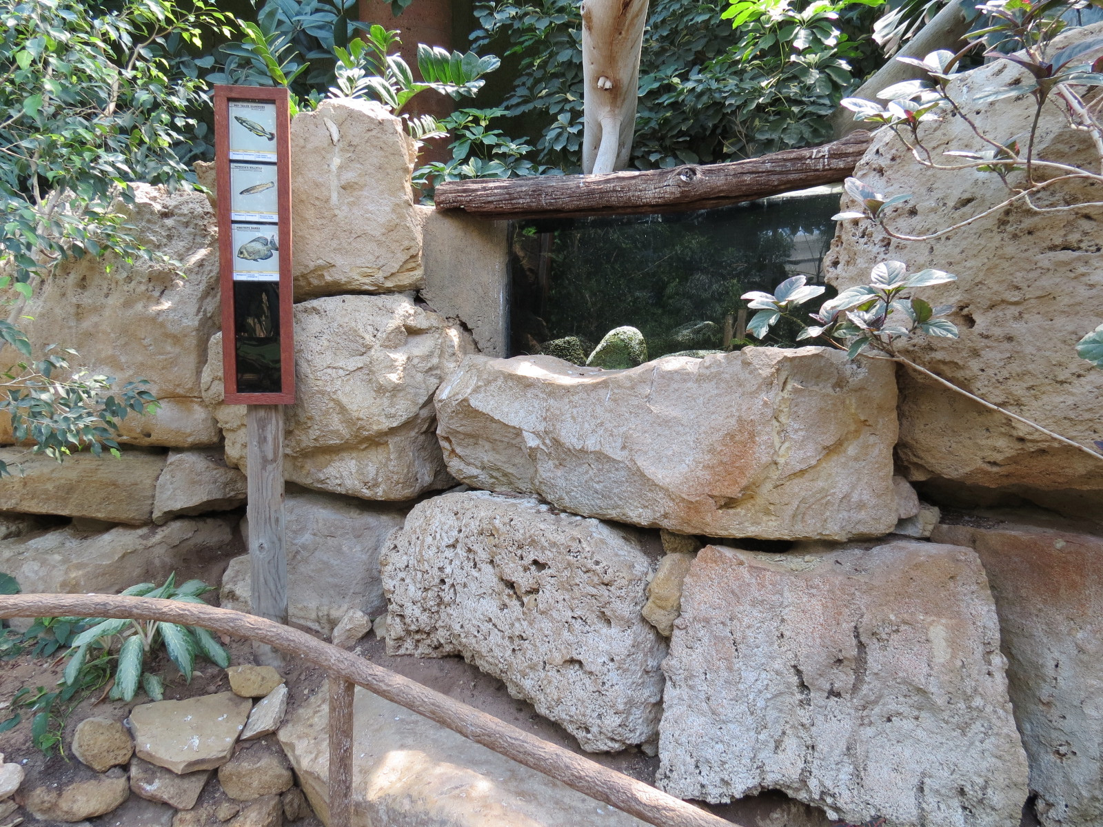 Tropics - Fish Exhibit