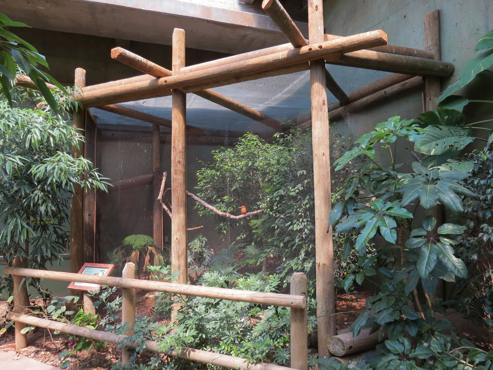 Tropics - Guam Kingfisher Exhibit