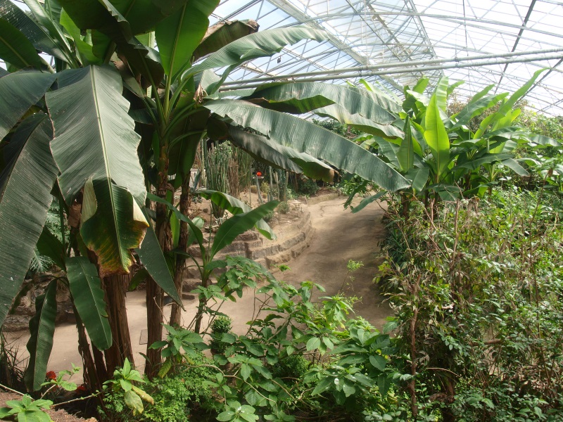 Tropics Hall (April 19th, 2015)