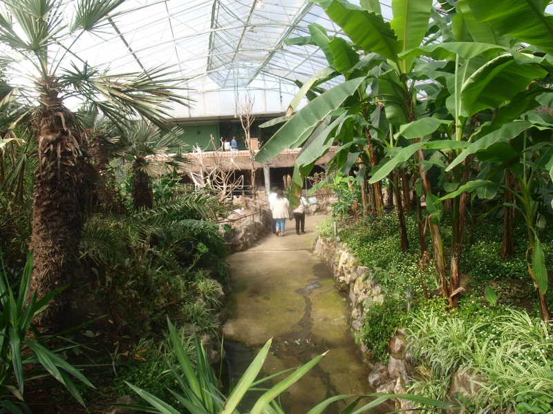 Tropics Hall (April 19th, 2015)