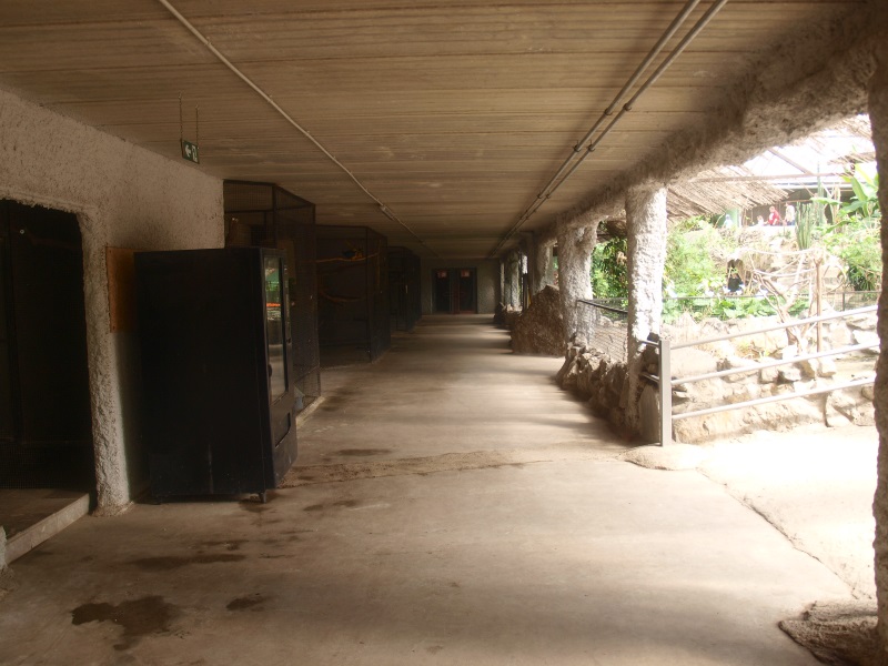 Tropics Hall - Indoor bird housing (April 19th, 2015)