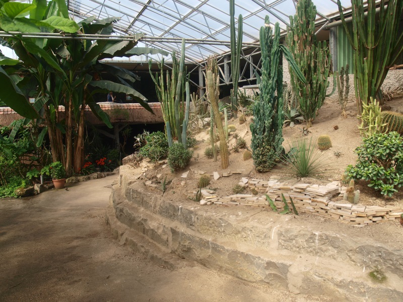 Tropics Hall, path and desert area (April 19th, 2015)