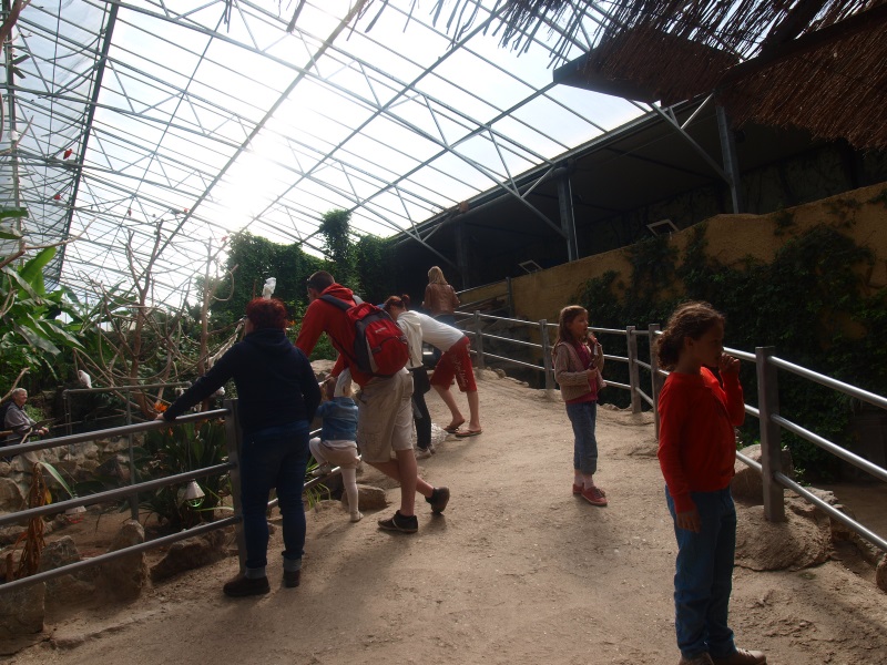 Tropics Hall - path (April 19th, 2015)