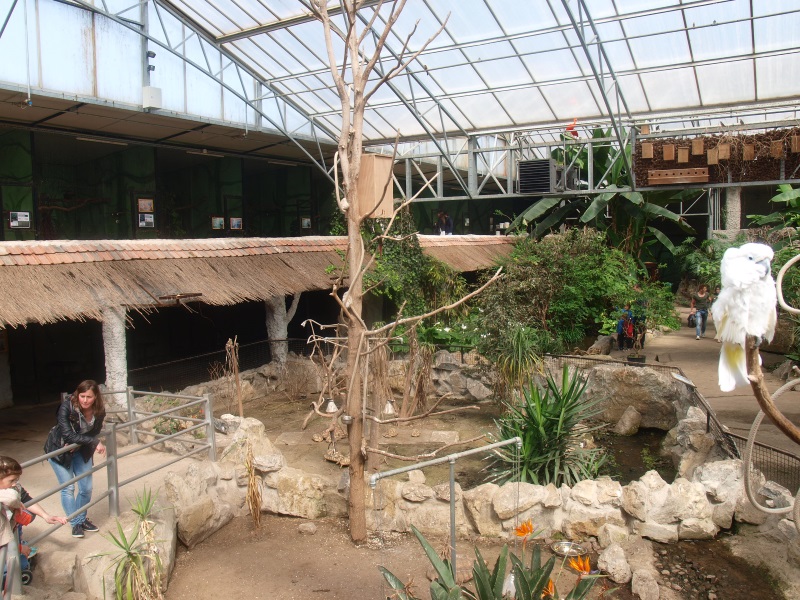 Tropics Hall - Tortoise enclosures (April 19th, 2015)