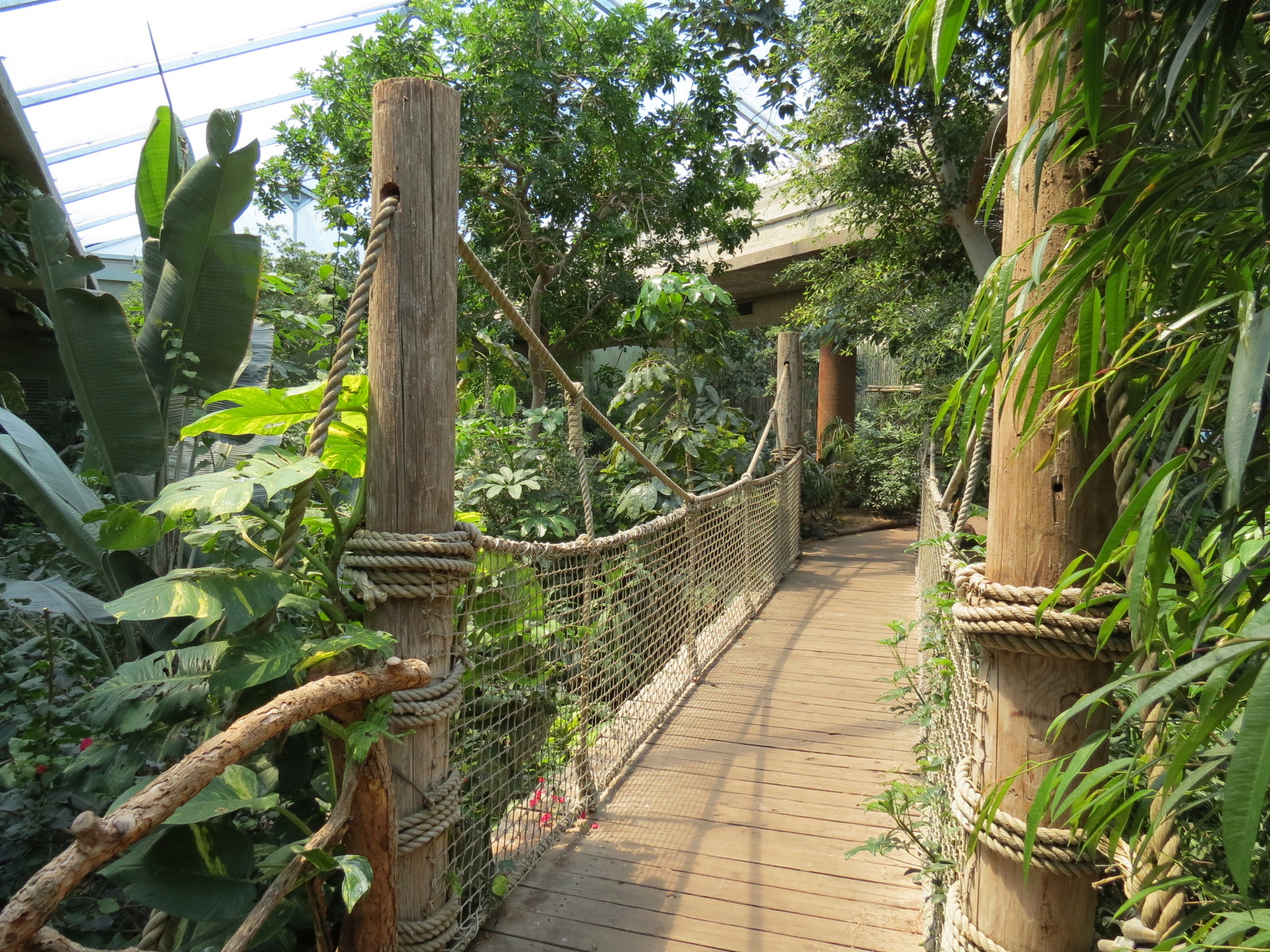 Tropics - Interior Bridge