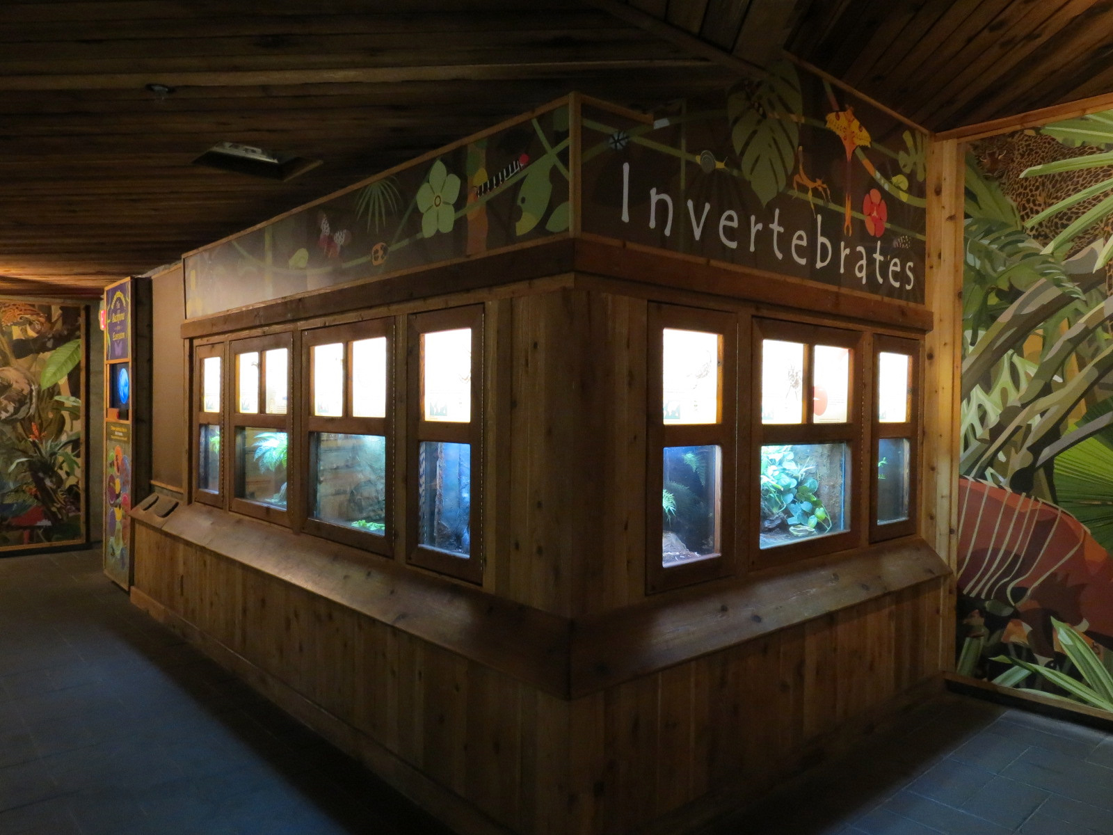 Tropics - Invertebrates Exhibits