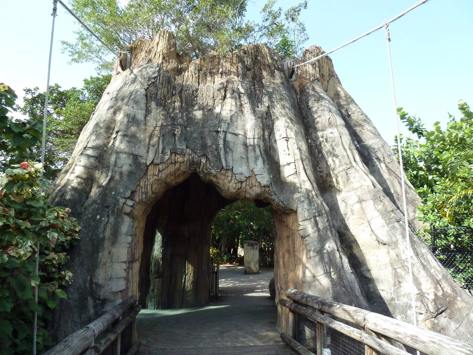 Tropics of the Americas - Bridge Entrance