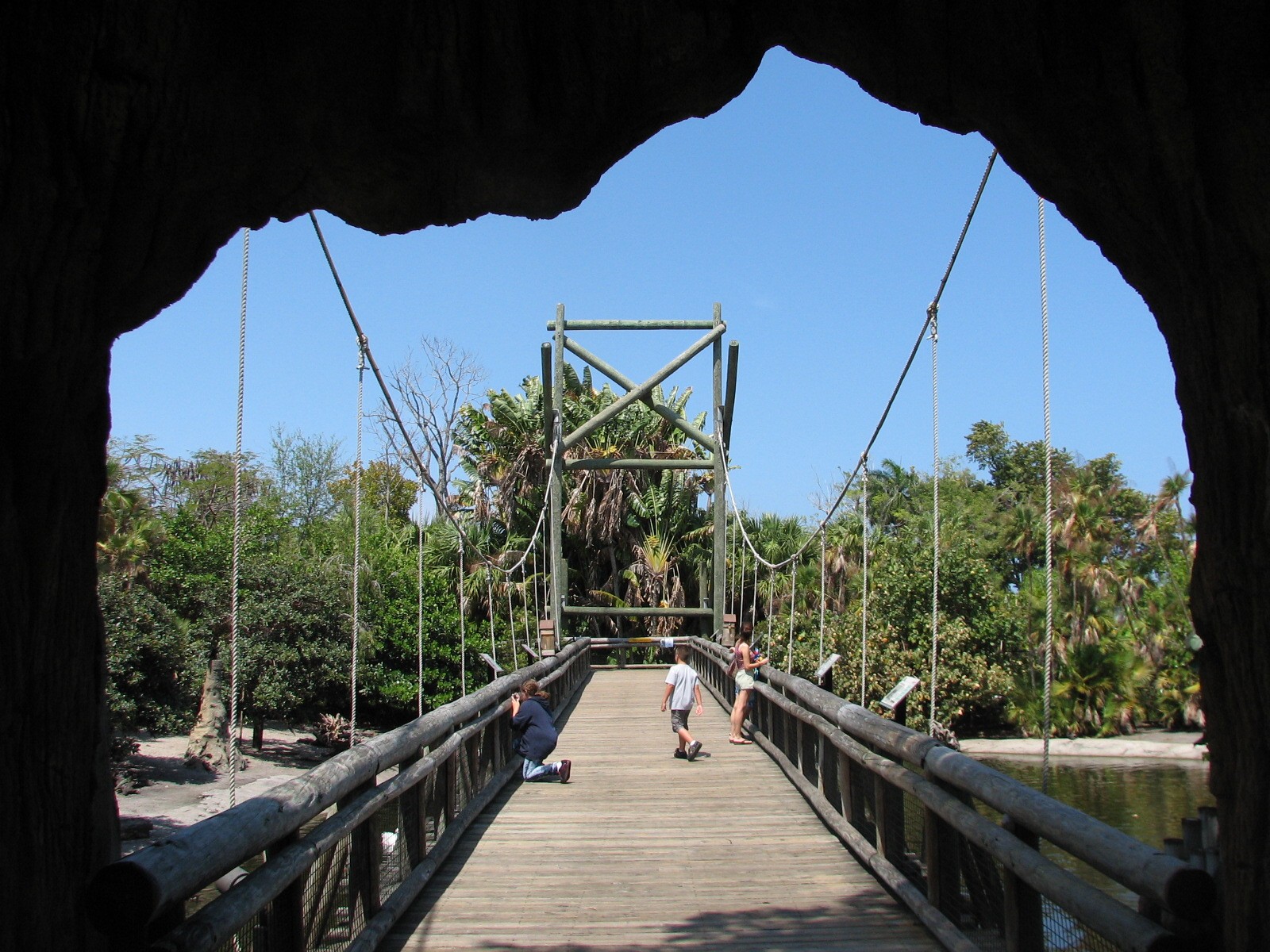 Tropics of the Americas Bridge