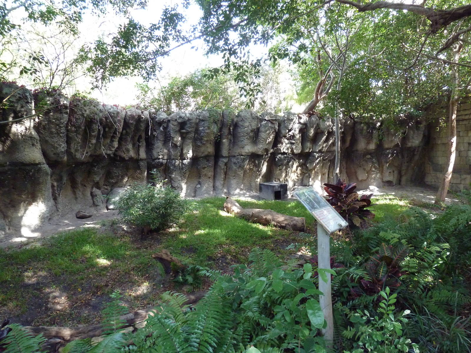 Tropics of the Americas - Bush Dog Exhibit