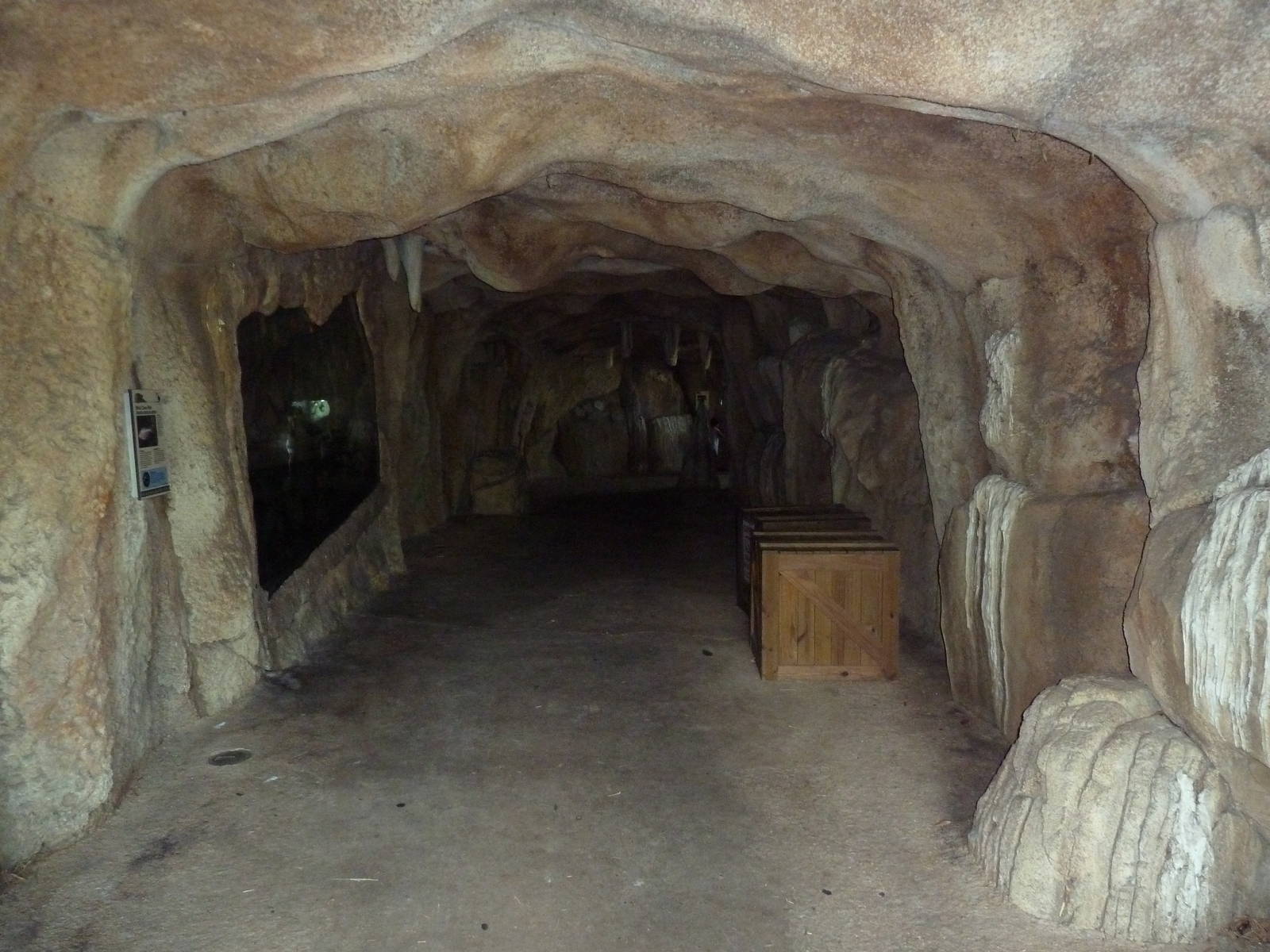 Tropics of the Americas - Cave