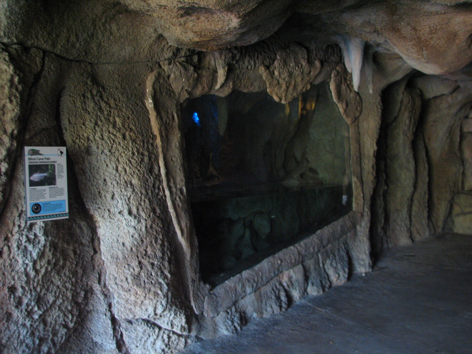 Tropics of the Americas Cave