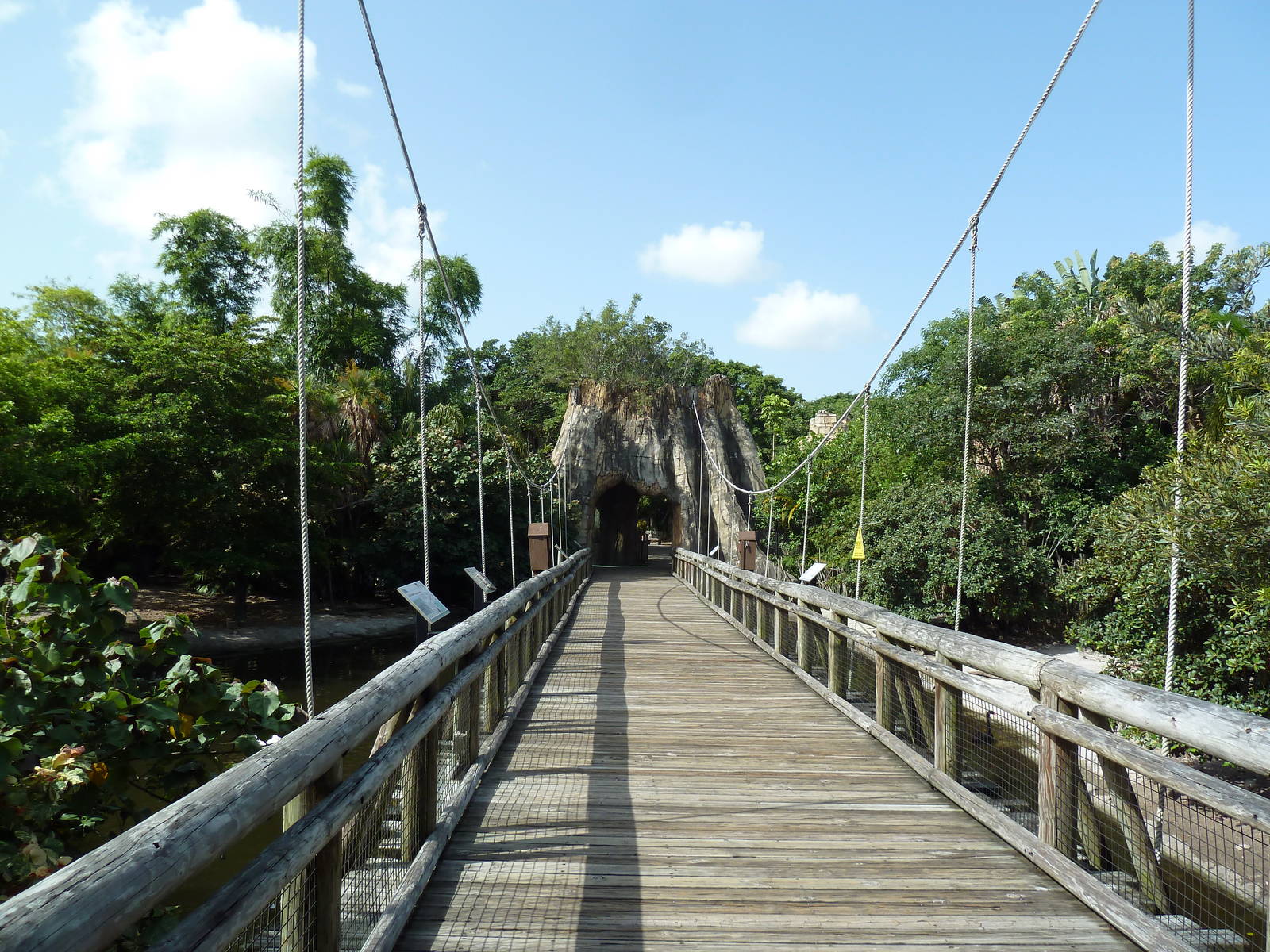 Tropics of the Americas - Exhibit Overlook (6 Species)