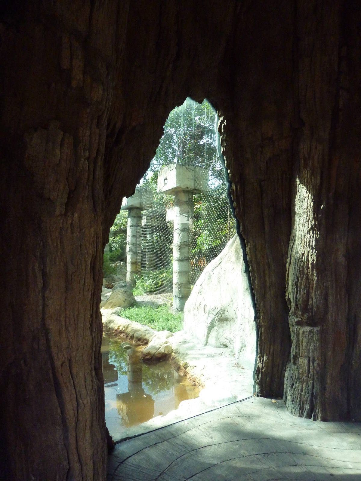 Tropics of the Americas - Jaguar Exhibit Viewing Window