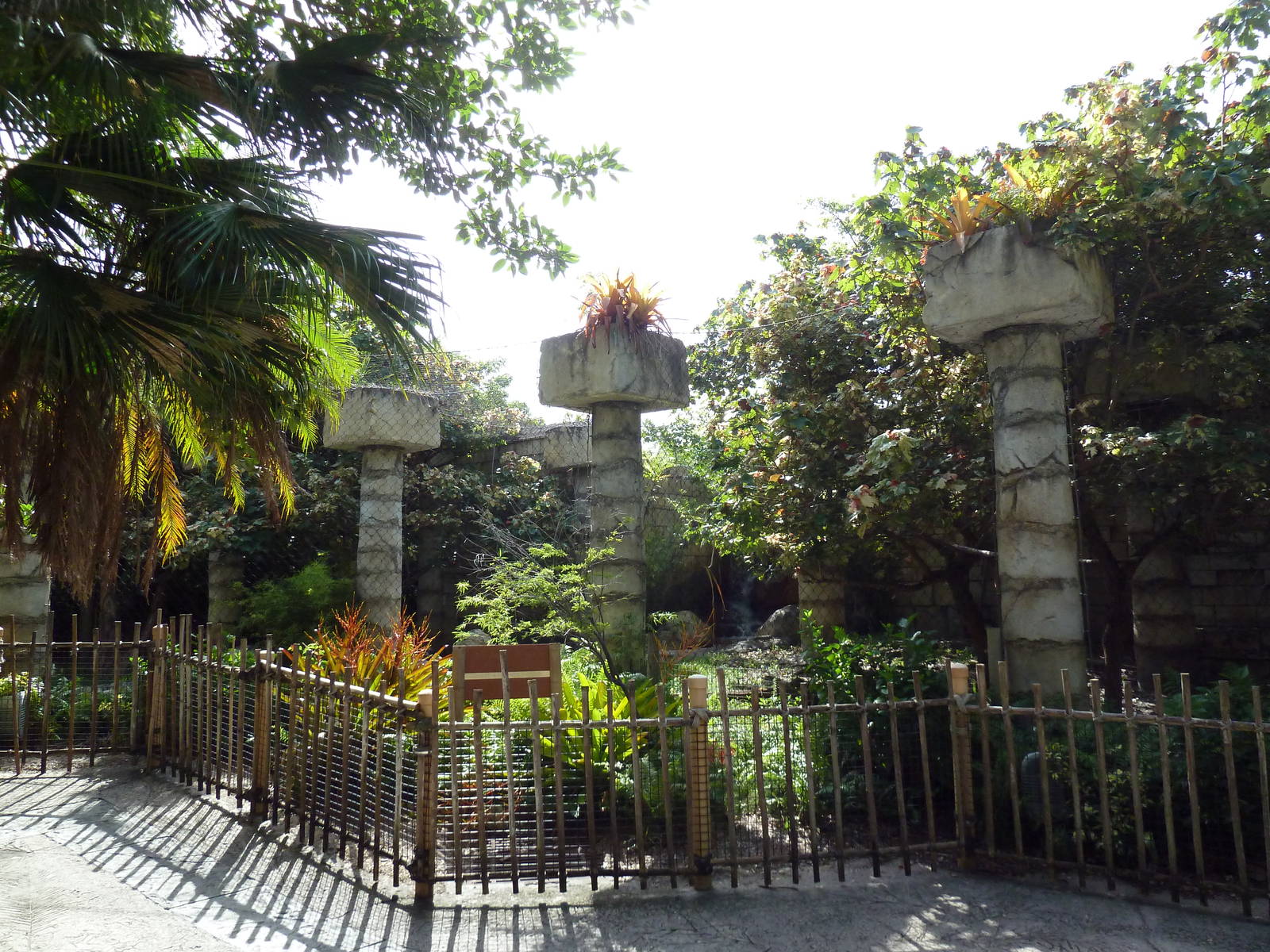 Tropics of the Americas - Jaguar Exhibit