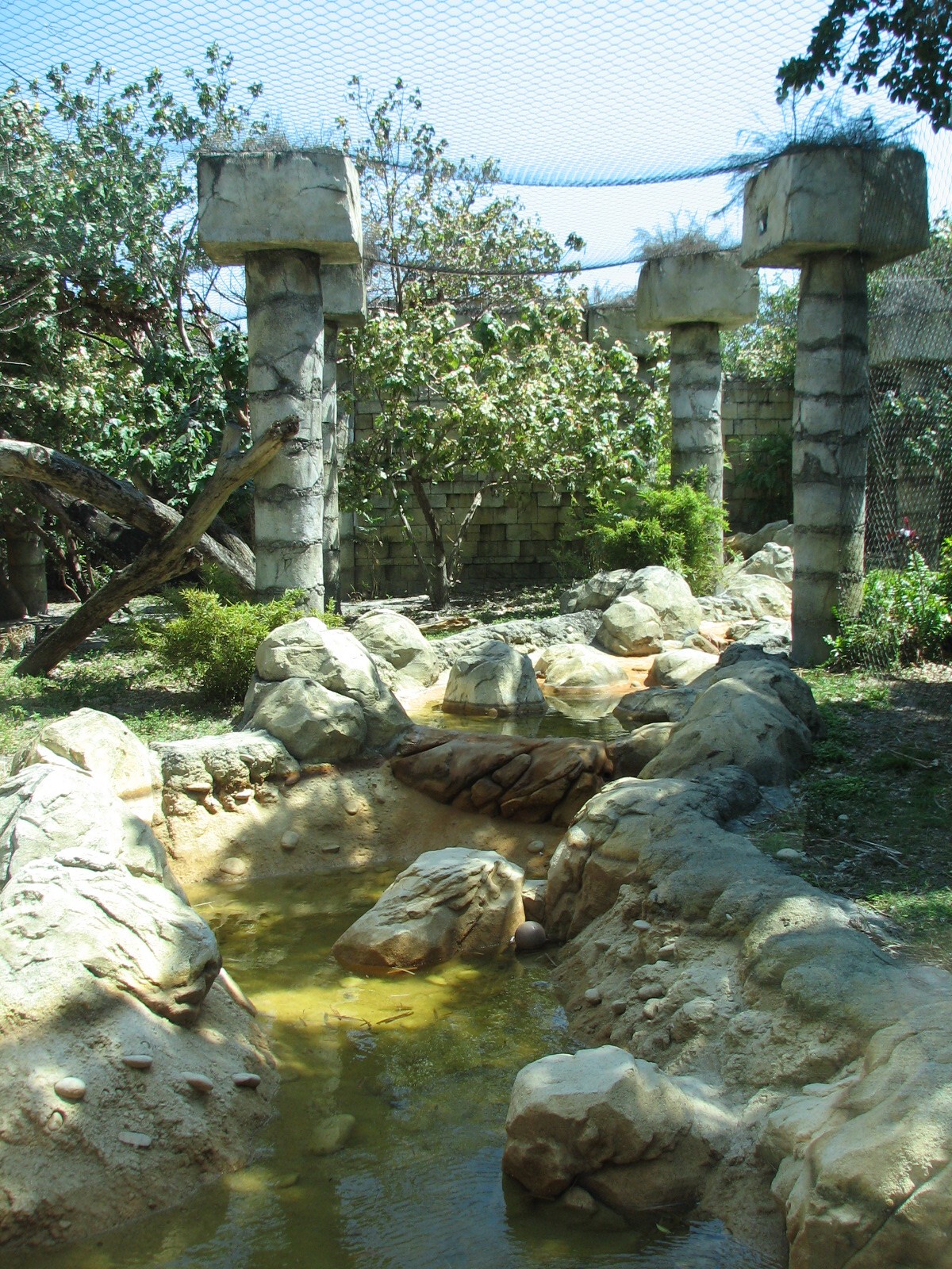 Tropics of the Americas Jaguar Exhibit