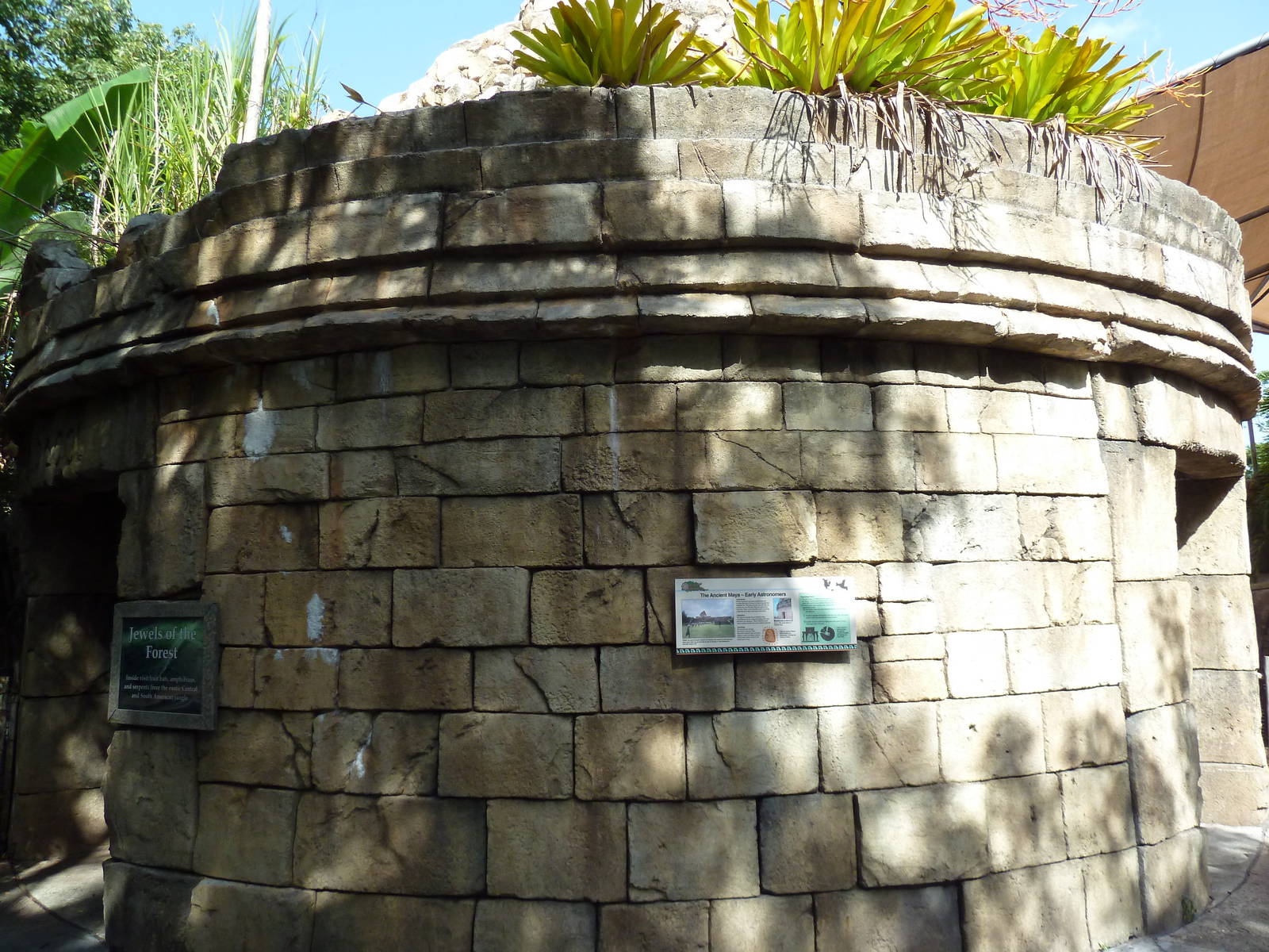 Tropics of the Americas - Mini-Reptile House