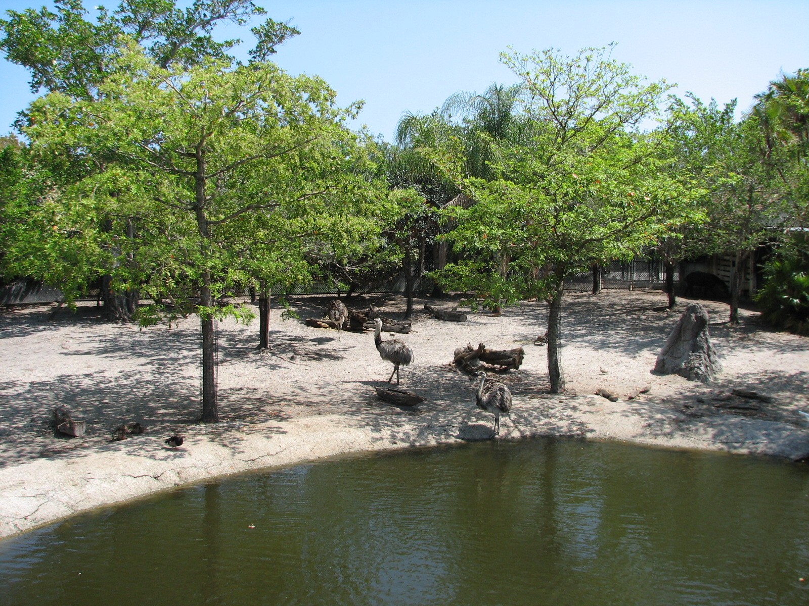 Tropics of the Americas Multi-species Exhibit