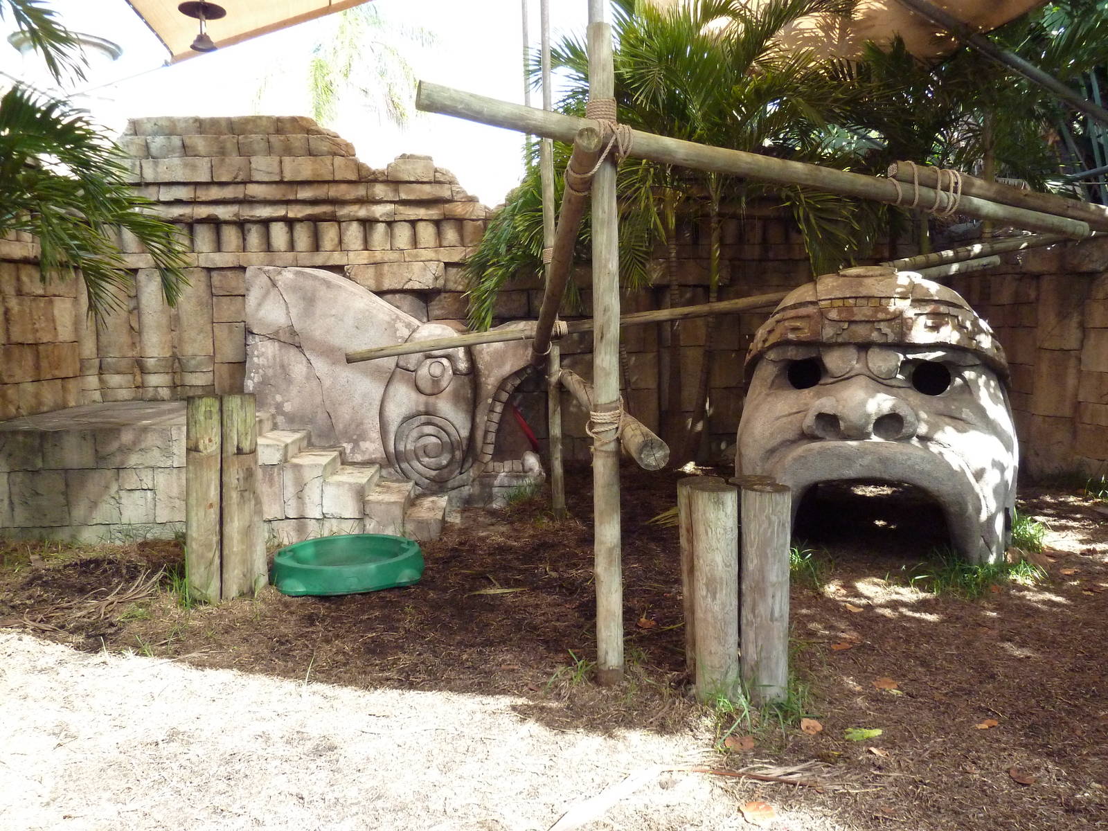 Tropics of the Americas - Presentation Yard