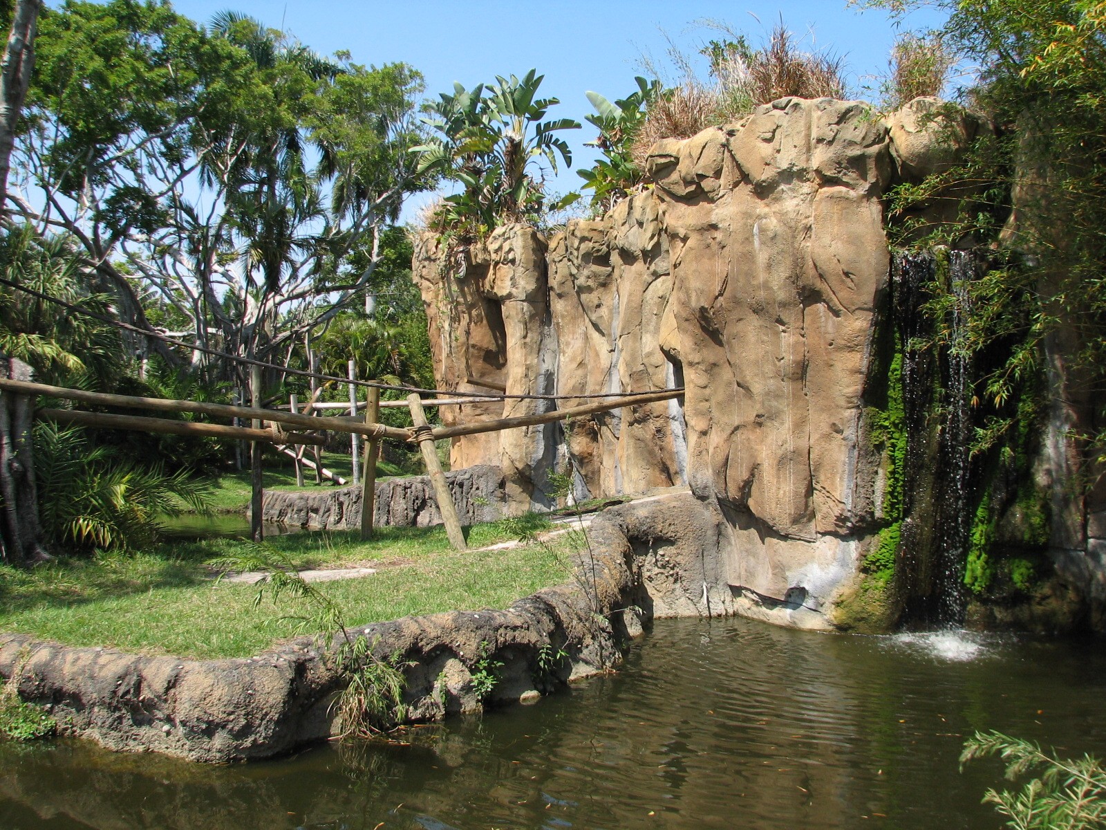 Tropics of the Americas Primate Island