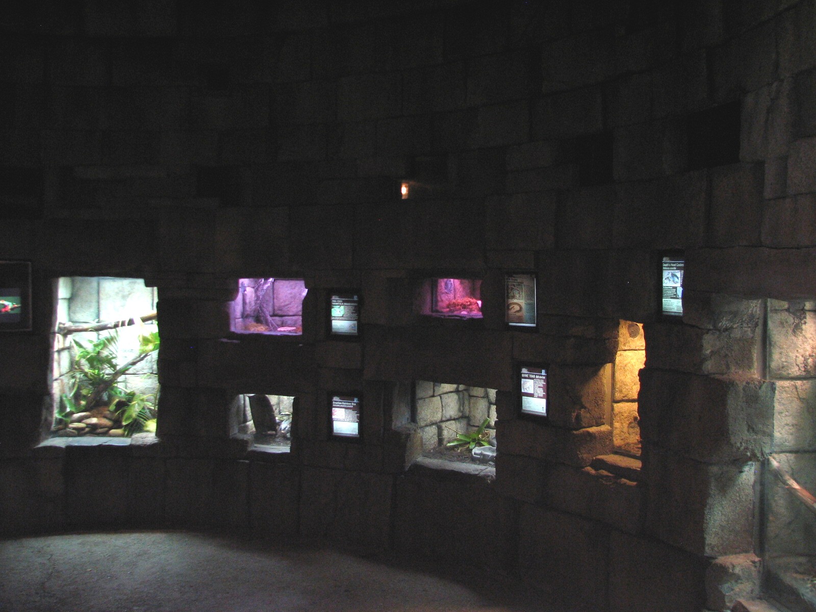 Tropics of the Americas Temple Interior