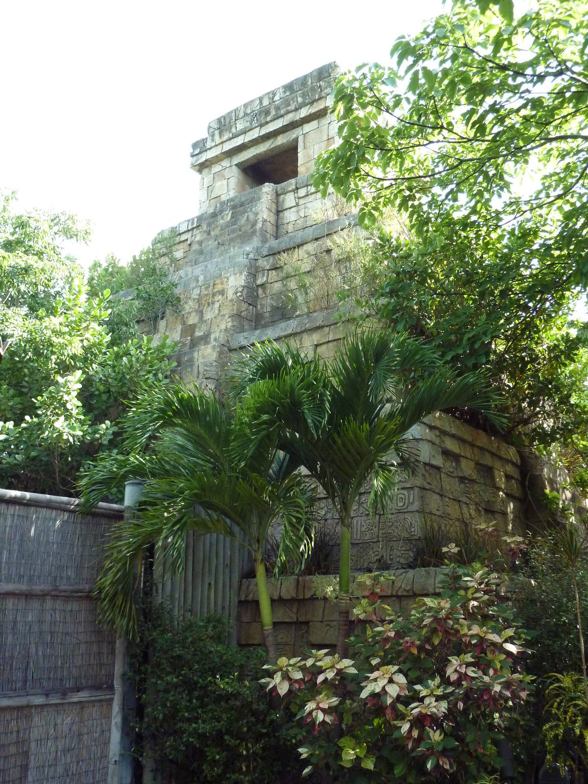 Tropics of the Americas