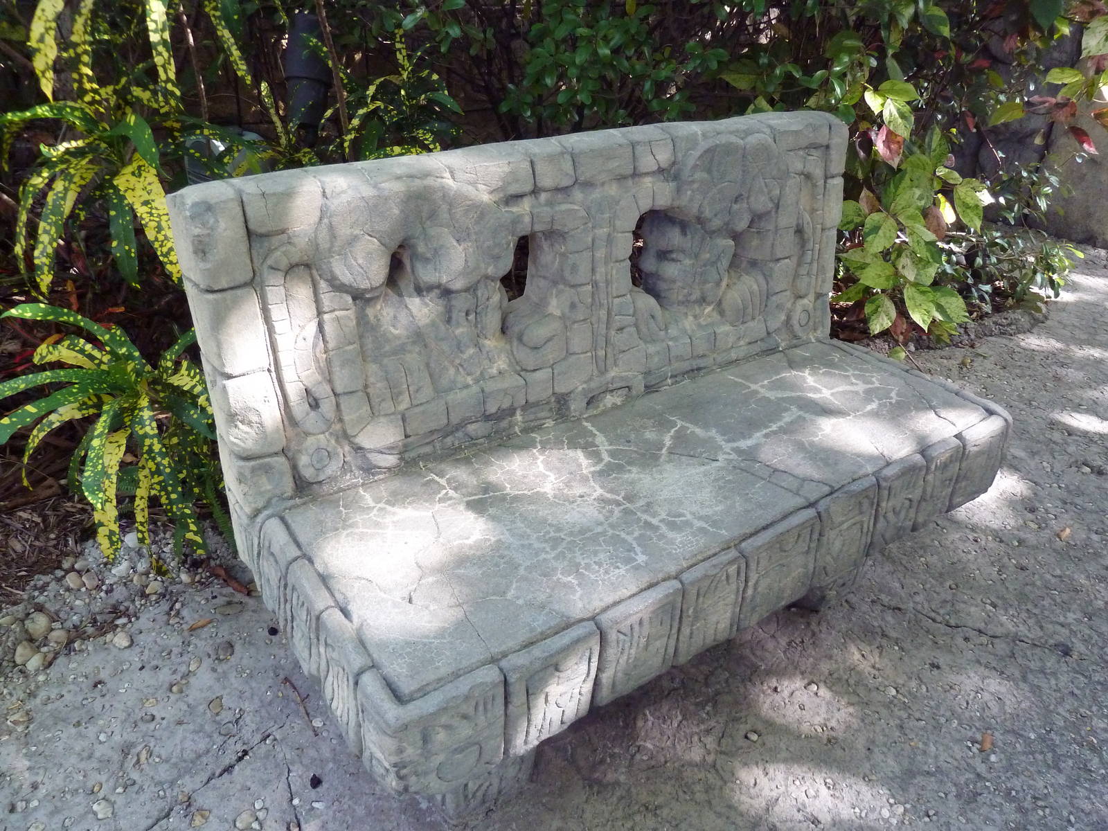 Tropics of the Americas