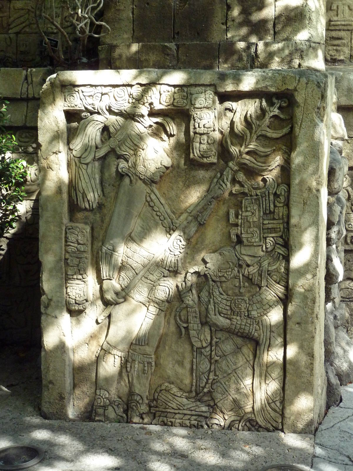 Tropics of the Americas